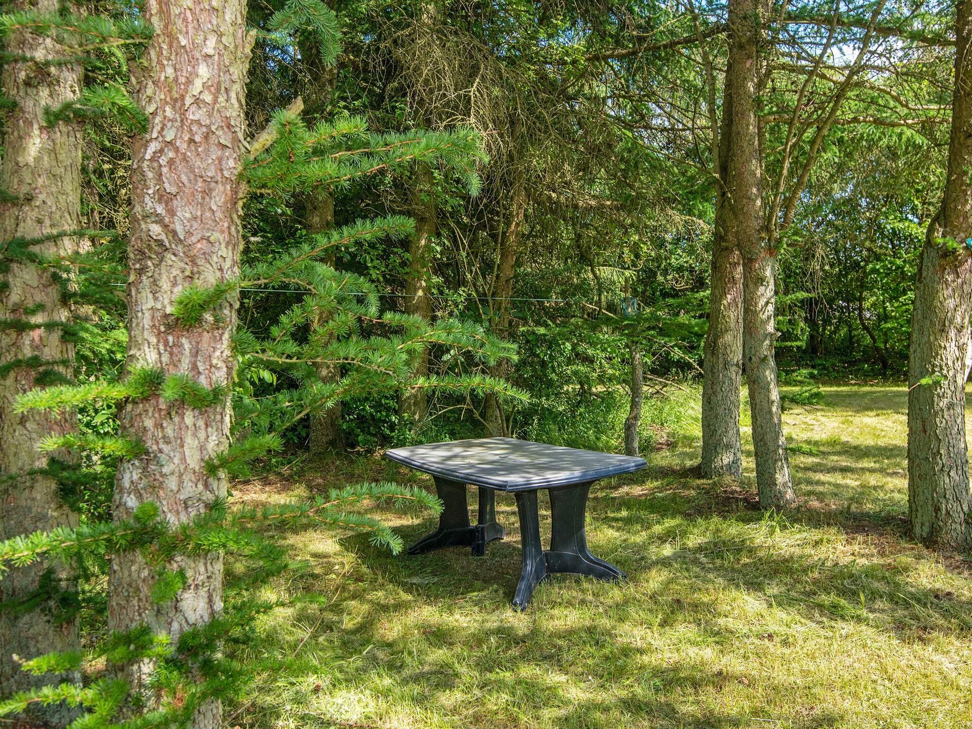 Vrijstaand vakantiehuis op 2500m² natuurdomein, 300m van de zee in Højslev - foto 34