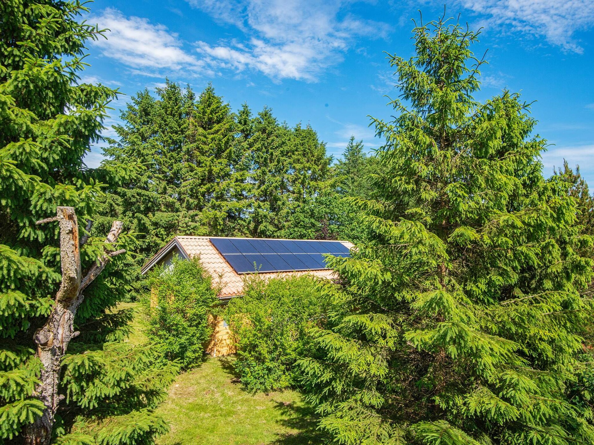 Vrijstaand vakantiehuis op 2500m² natuurdomein, 300m van de zee in Højslev - foto 5