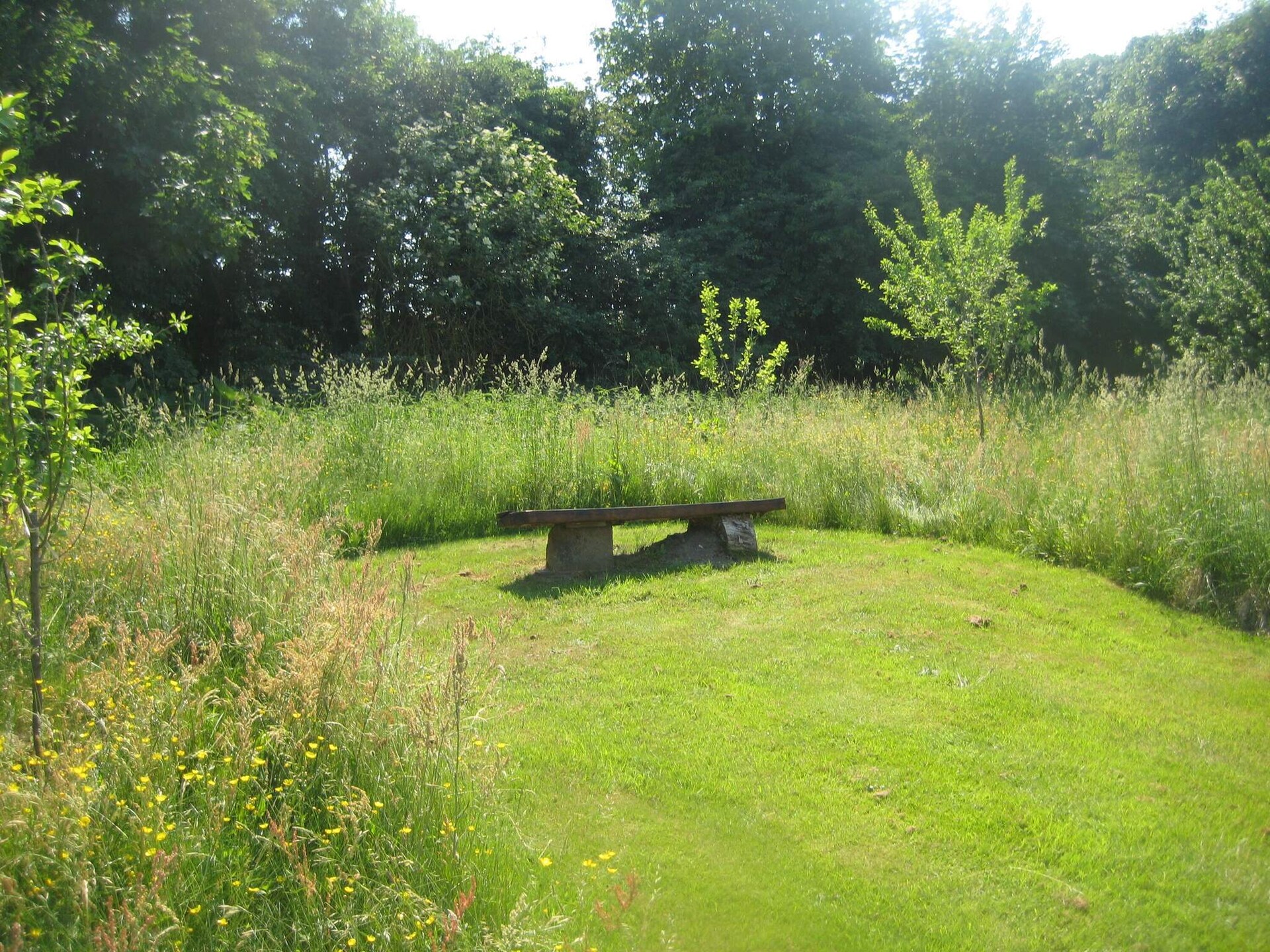 Vrijstaand vakantiehuis op 2500m² natuurdomein, 300m van de zee in Højslev - foto 8