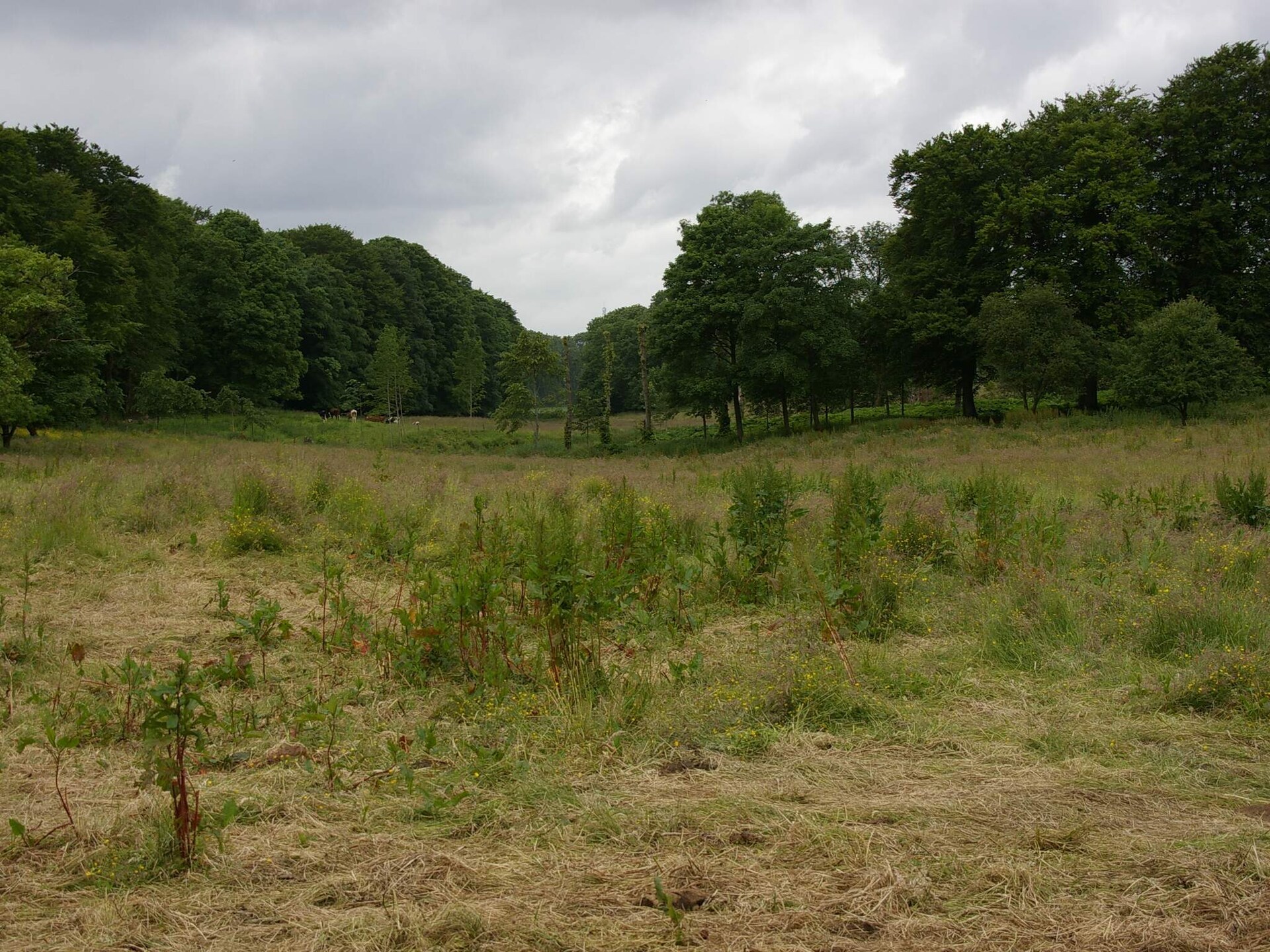 Vrijstaand vakantiehuis op 2500m² natuurdomein, 300m van de zee in Højslev - foto 11