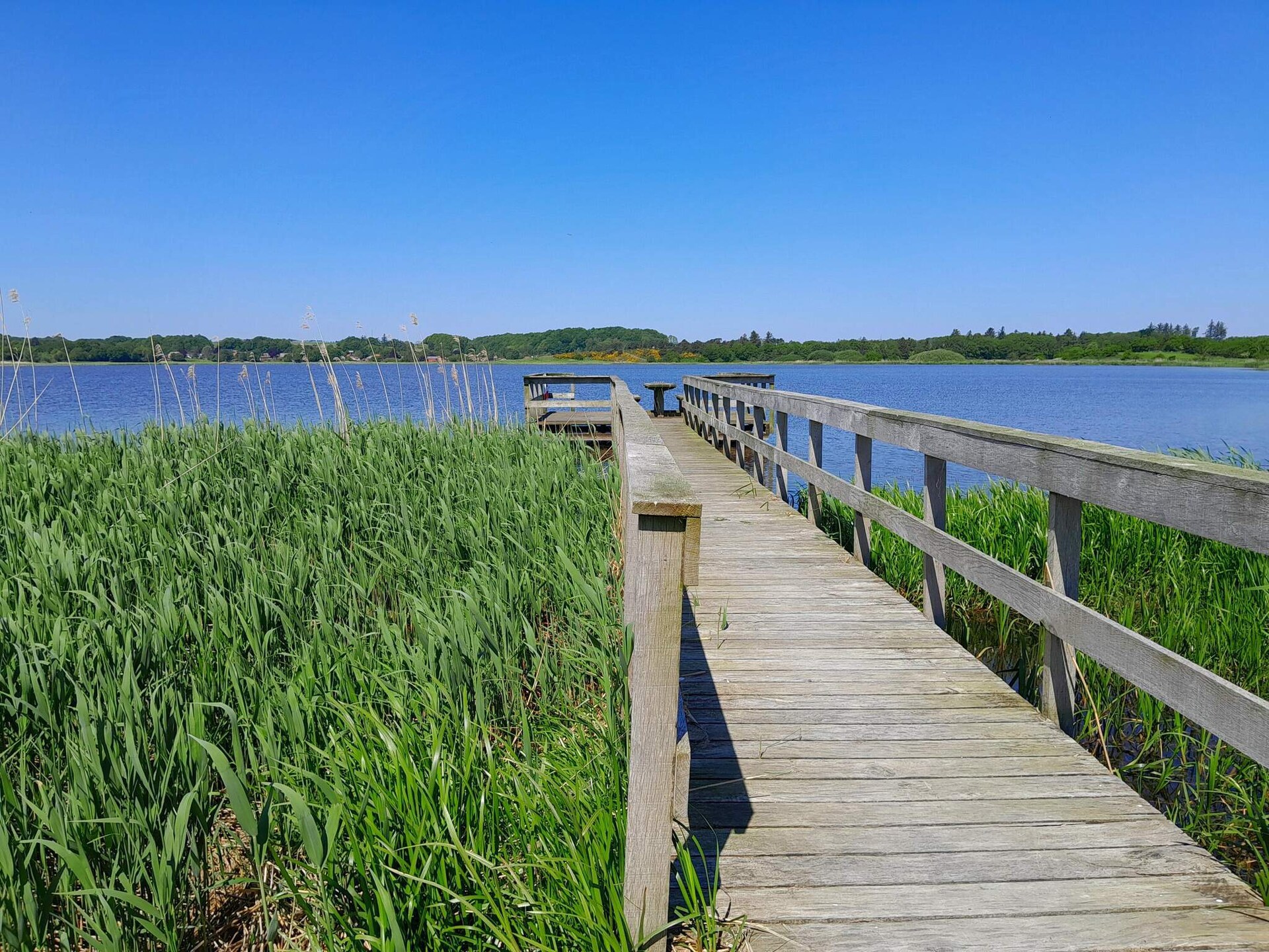 Vrijstaand vakantiehuis op 2500m² natuurdomein, 300m van de zee in Højslev - foto 15
