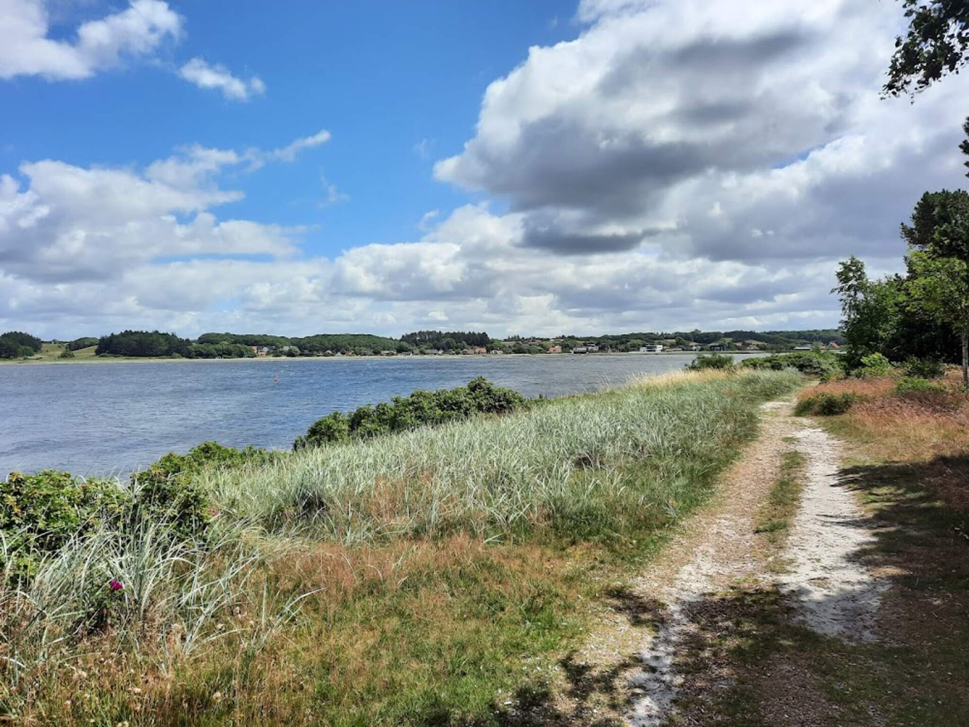 Vrijstaand vakantiehuis op 2500m² natuurdomein, 300m van de zee in Højslev - foto 16