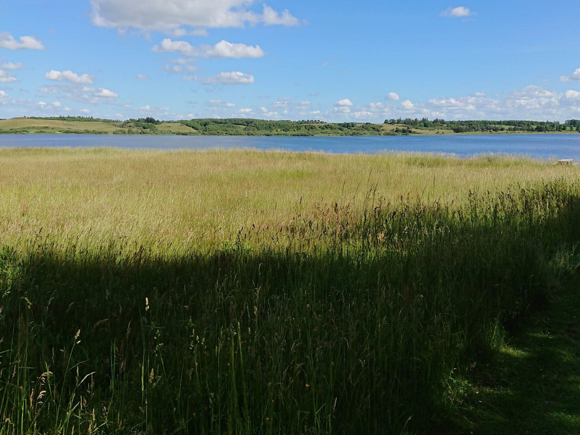 Vrijstaand vakantiehuis op 2500m² natuurdomein, 300m van de zee in Højslev - foto 17