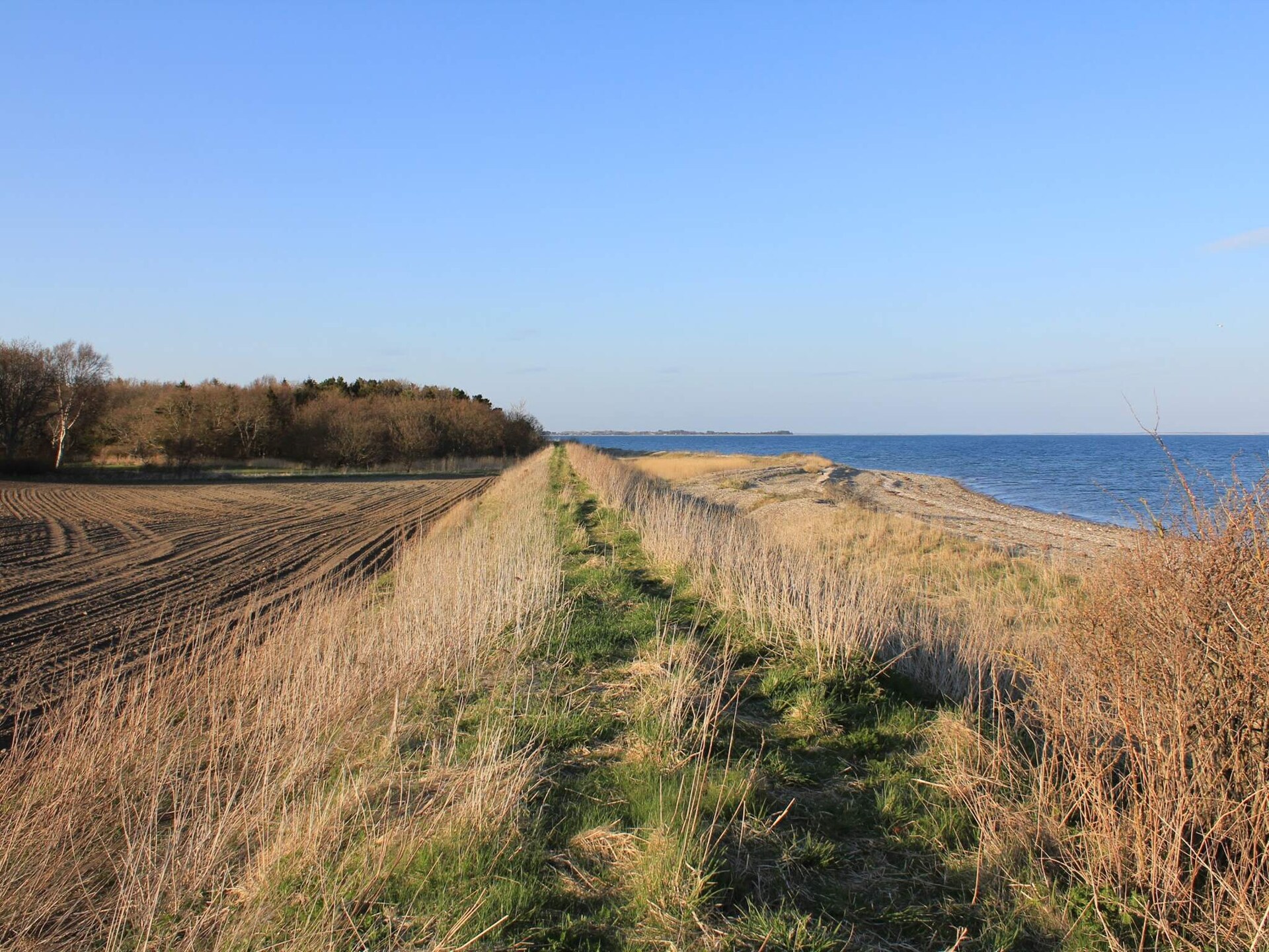 8-persoons vakantiehuis aan zee in Thyholm met whirlpool - foto 15