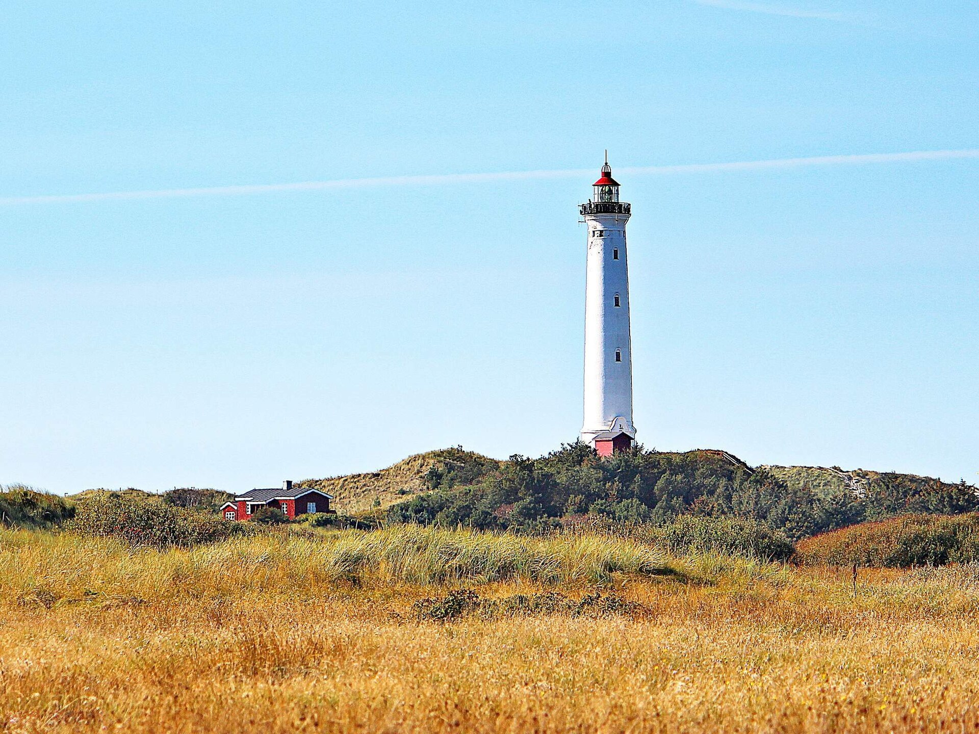 Vrijstaand duinhuis bij Hvide Sande met uitzicht op vuurtoren en zee op 800m - foto 9