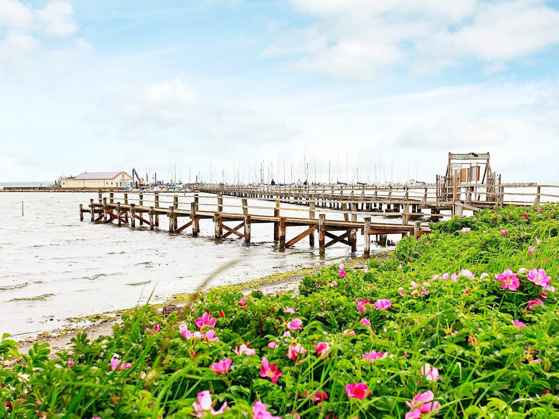 6-persoons vakantiehuis aan zee in Gelting · 6 pers. - foto 40