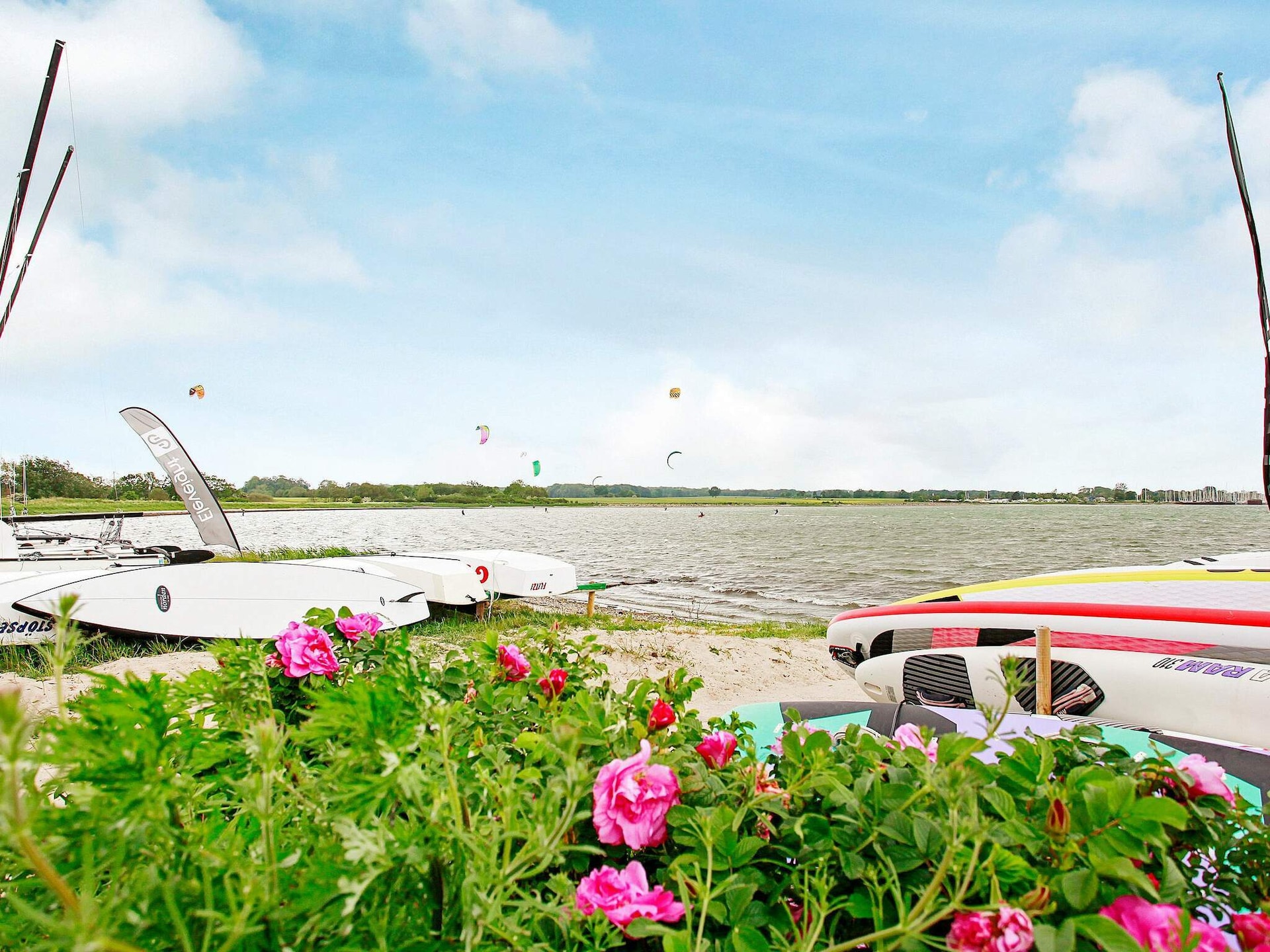 Aan zee: Sfeervol vakantiehuis in Gelting met eigen sauna - foto 28