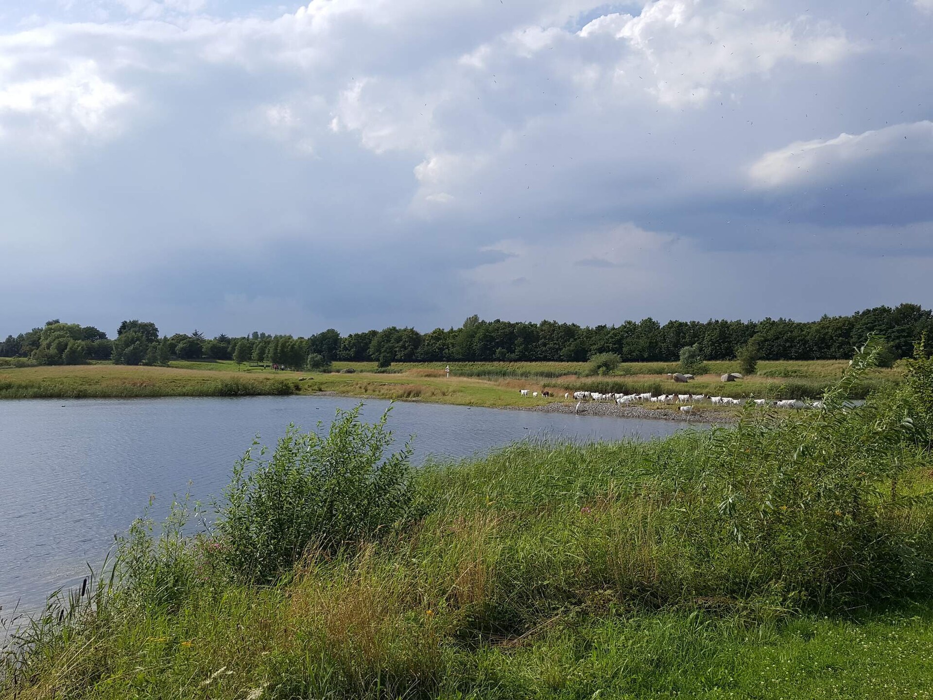 Aan zee: Ruim vakantiehuis voor 8 personen in Nysted - foto 28