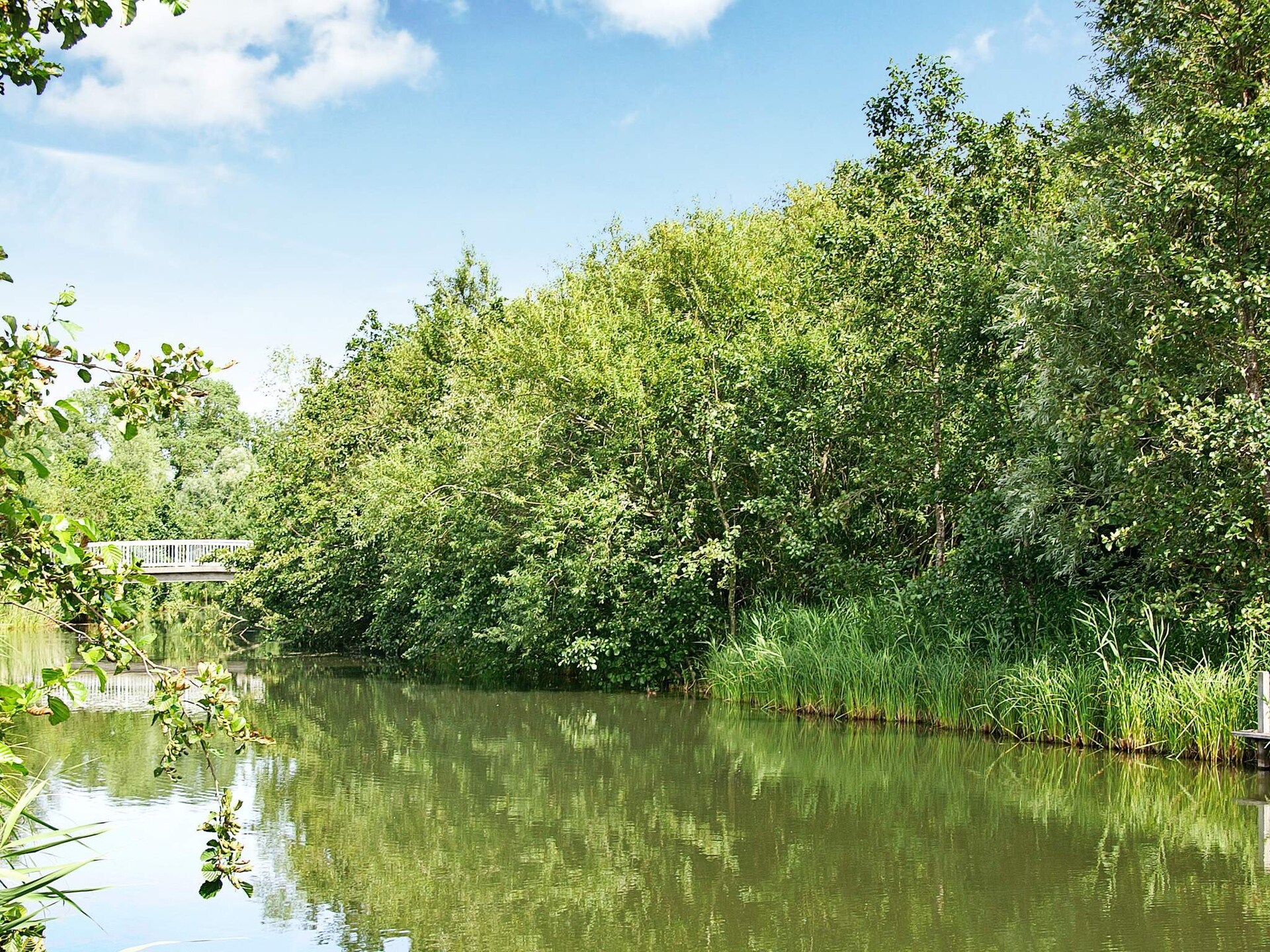 Op 1,5 km van zee: Ruim wellnessvakantiehuis in Ottendorf - foto 82