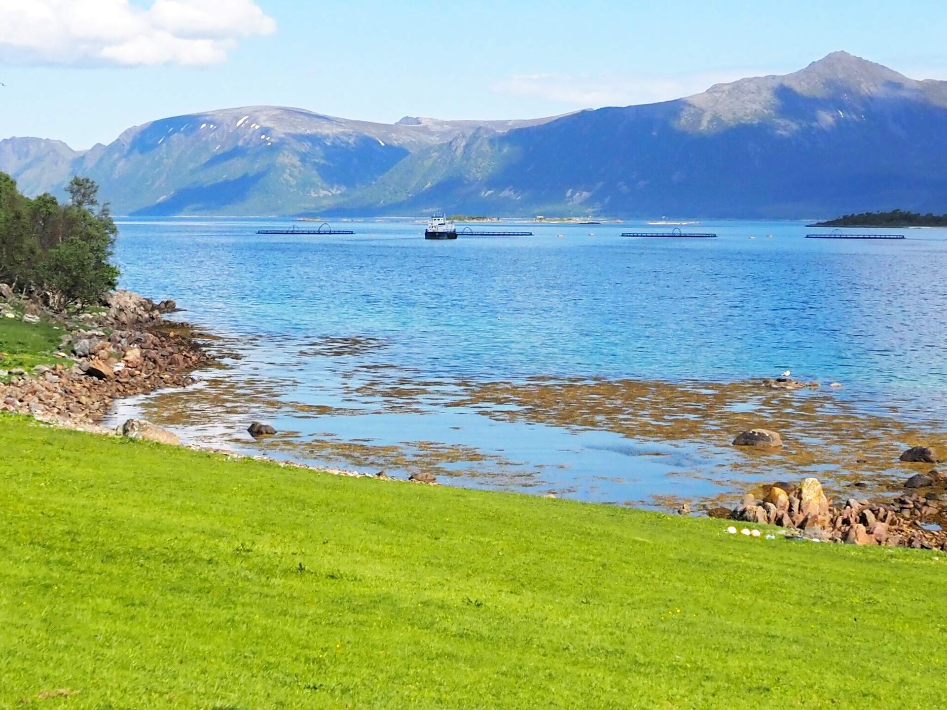 Vrijstaand vakantiehuis met panoramisch fjorduitzicht op Langøya - foto 2