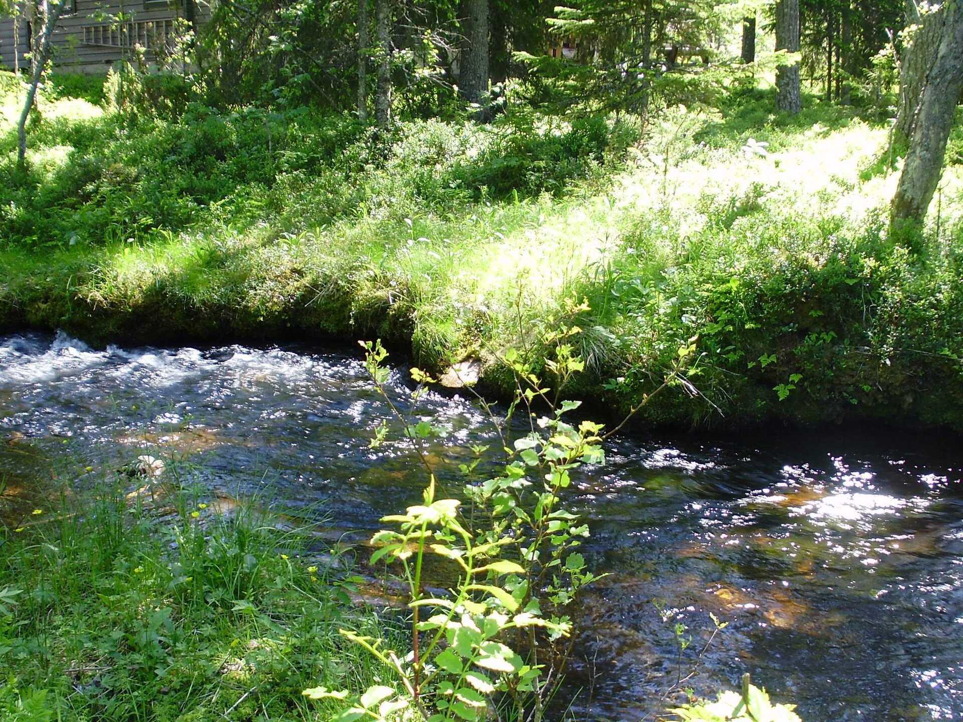 Gezellig houten vakantiehuis bij Hundfjället in Sälen - foto 33