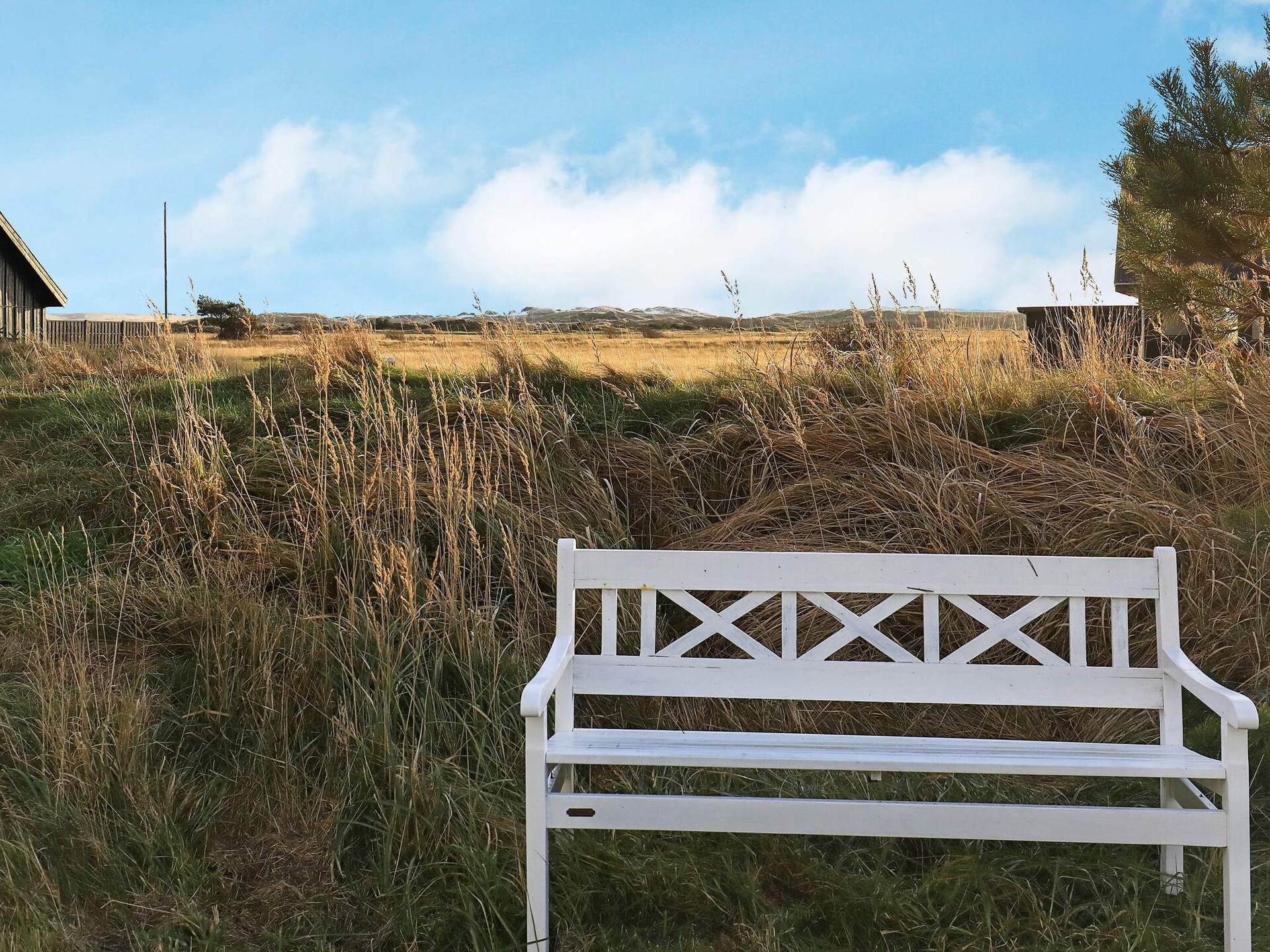 Vrijstaand vakantiehuis nabij Skagen met uitzicht op de Råbjerg Mile - foto 34