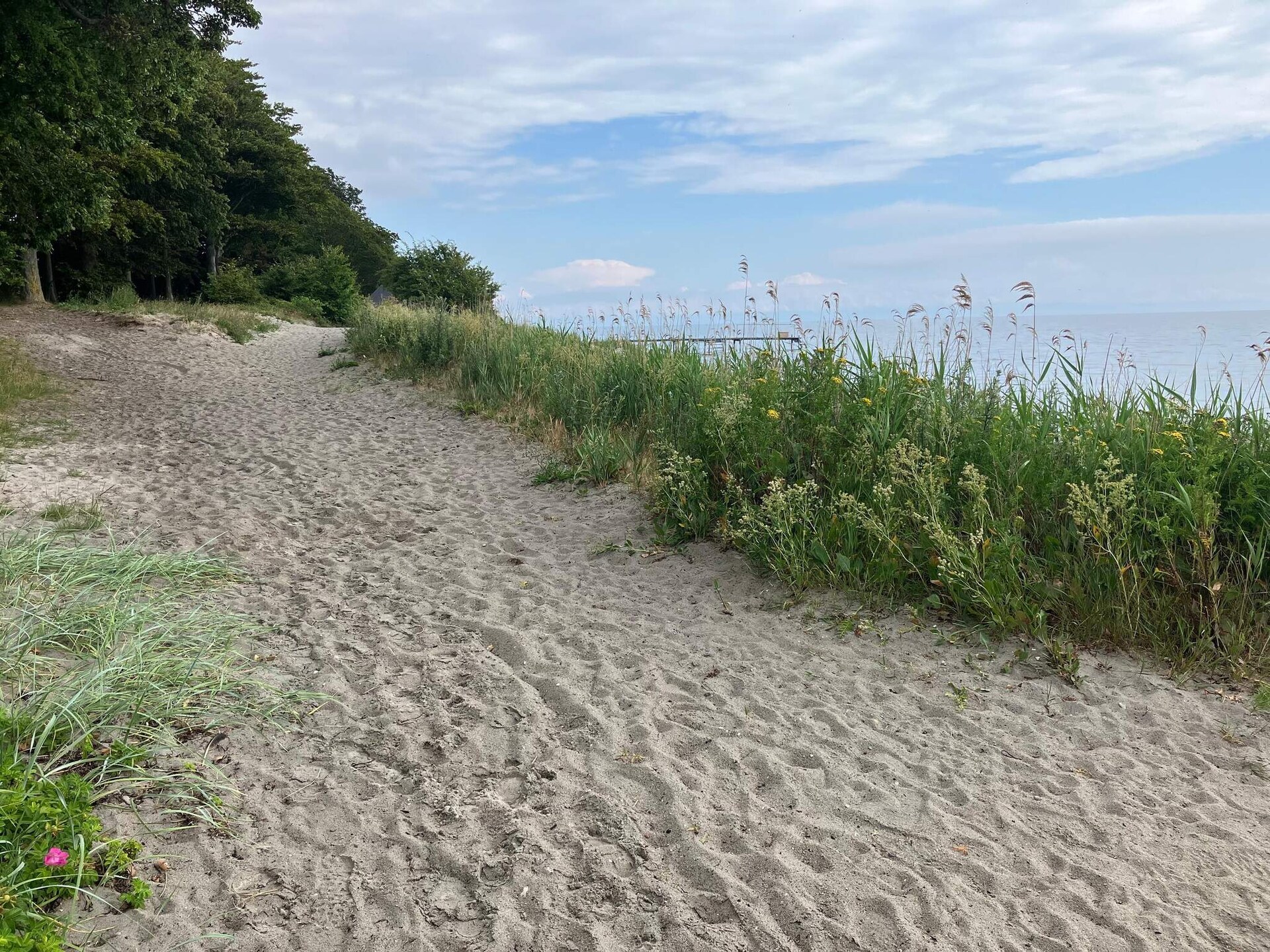 Aan zee: Ruim vakantiehuis in Nysted met sauna en whirlpool - foto 40