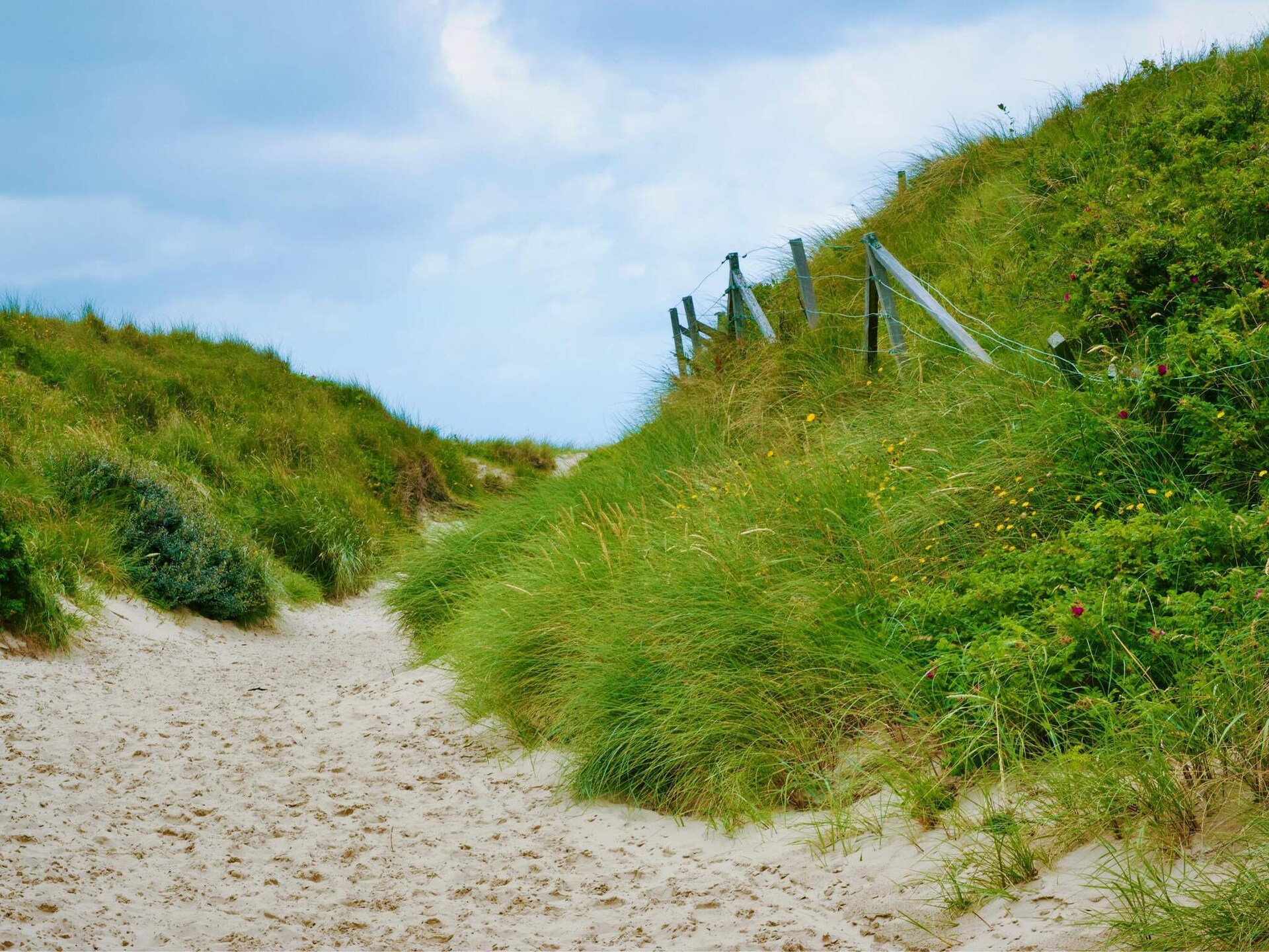 4-persoons vakantiehuis in Blåvand op 1,5 km van de zee - foto 5