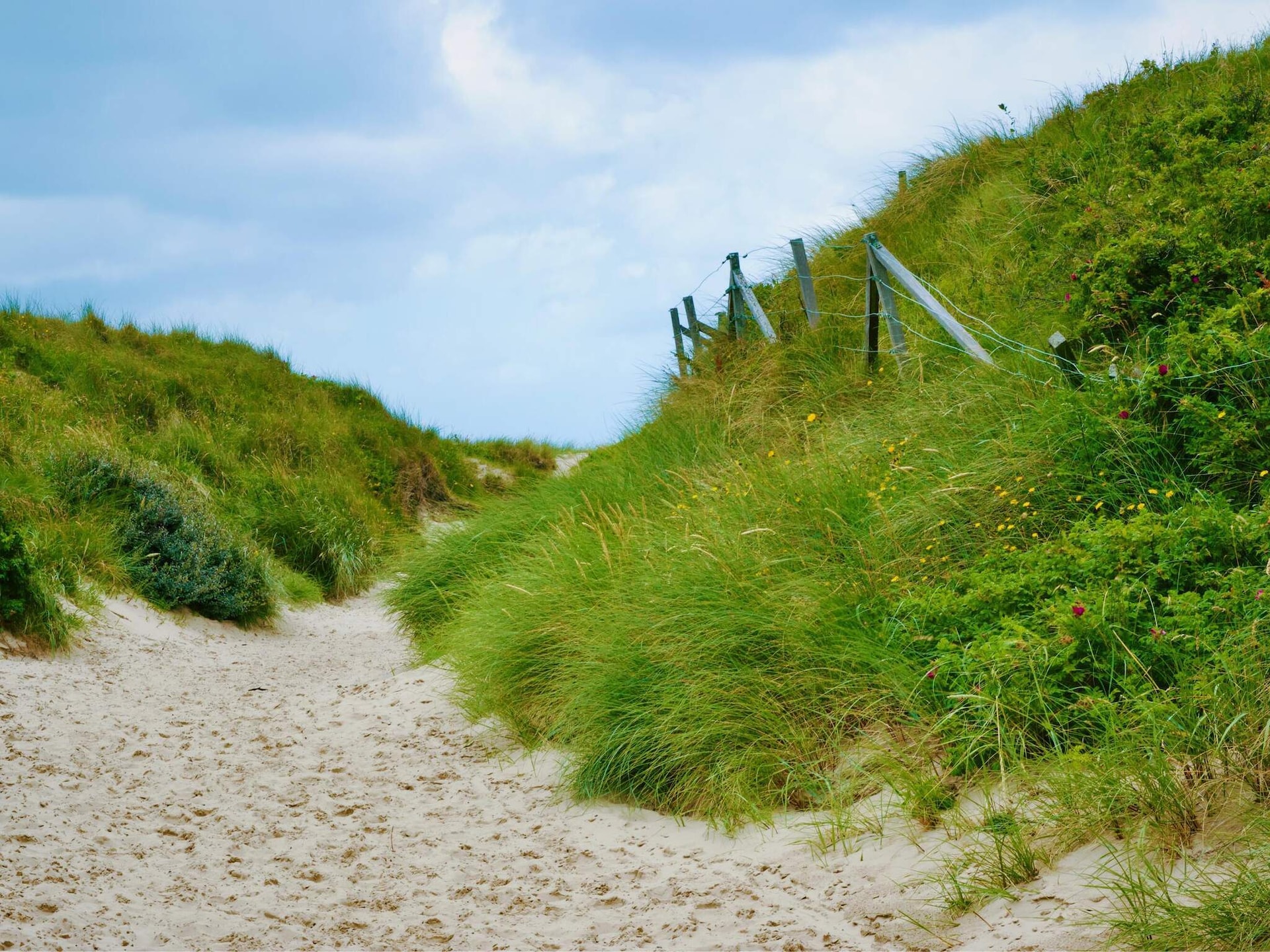 4-persoons vakantiehuis in Blåvand op 1,5 km van de zee - foto 6