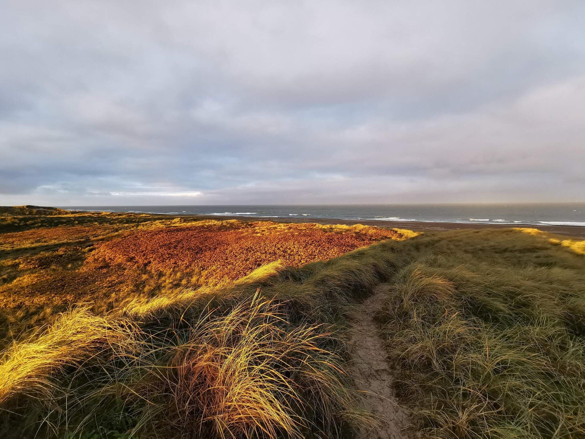 Sfeervol vrijstaand vakantiehuis op 800m van zee in Vorupør - foto 9