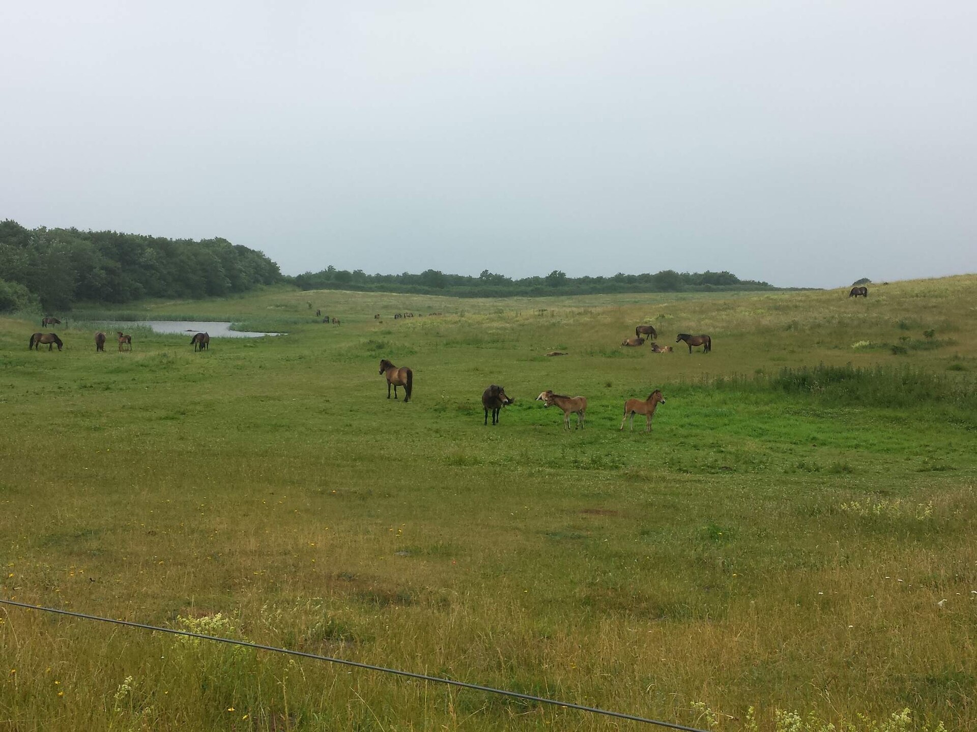 Aan zee: ruim vakantiehuis in Bagenkop voor 20 personen - foto 9