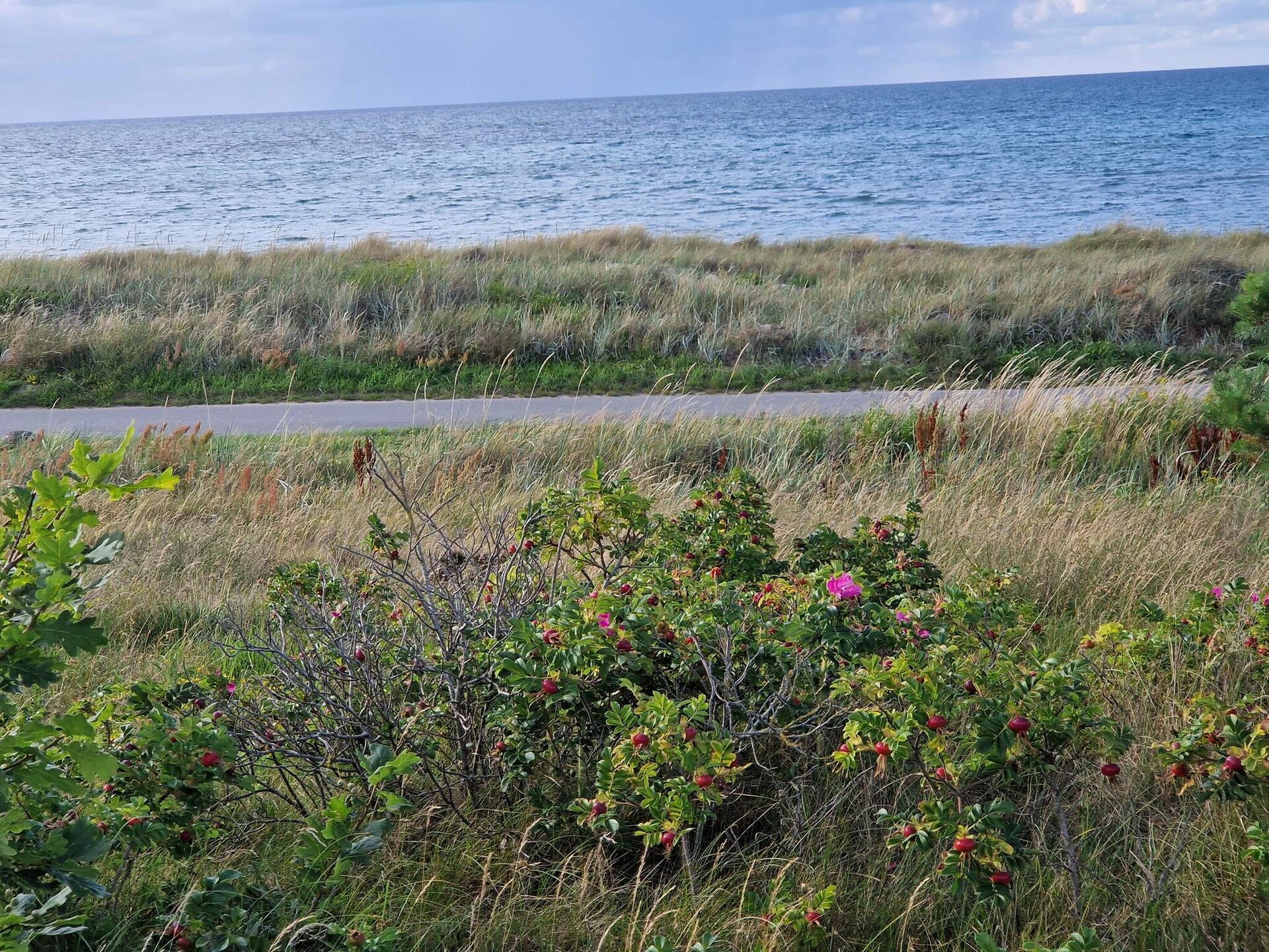 Aan zee: Rustgevend vakantiehuis in Allingåbro met sauna en whirlpool - foto 13