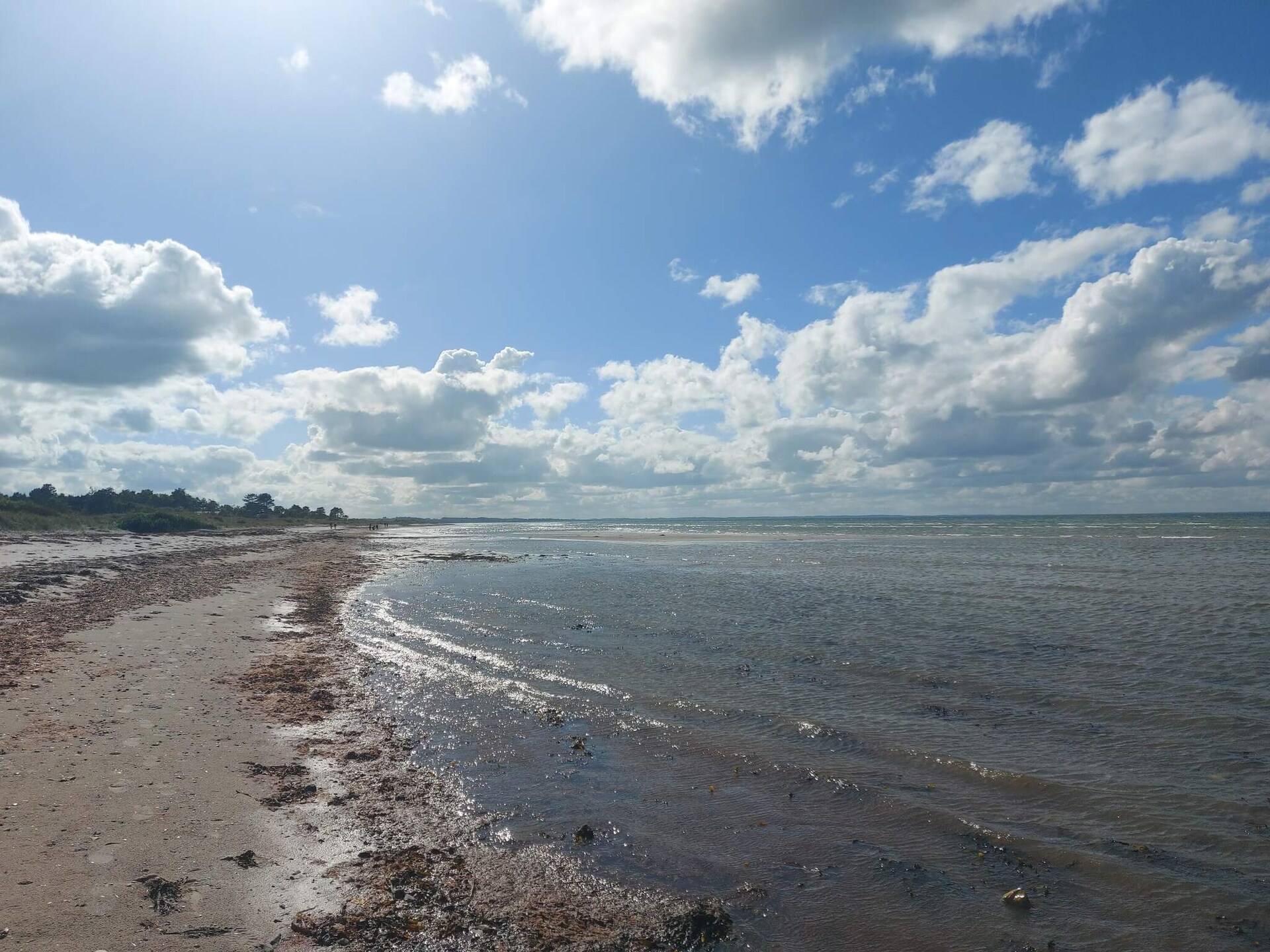 Aan zee: Rustgevend vakantiehuis in Allingåbro met sauna en whirlpool - foto 15