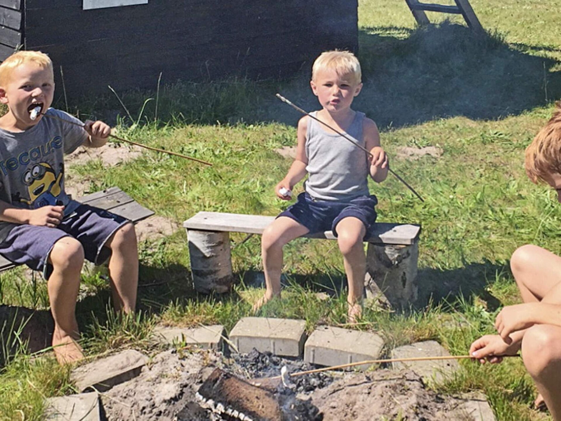Kindvriendelijk vrijstaand huis met sauna & whirlpool op 1 km van zee - foto 3