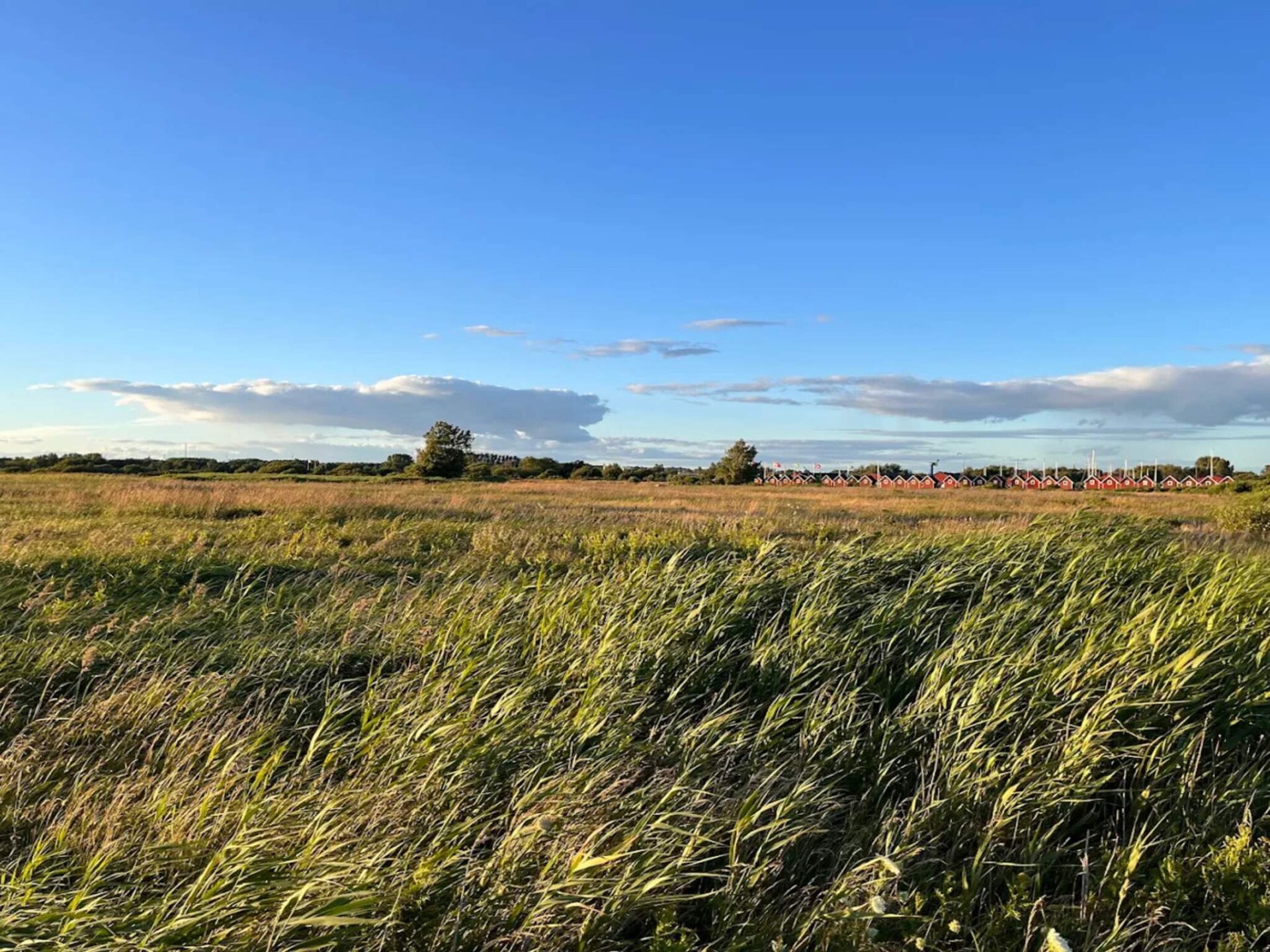 Knus Zweeds tiny house in Falkenberg, dicht bij zee en strand - foto 10