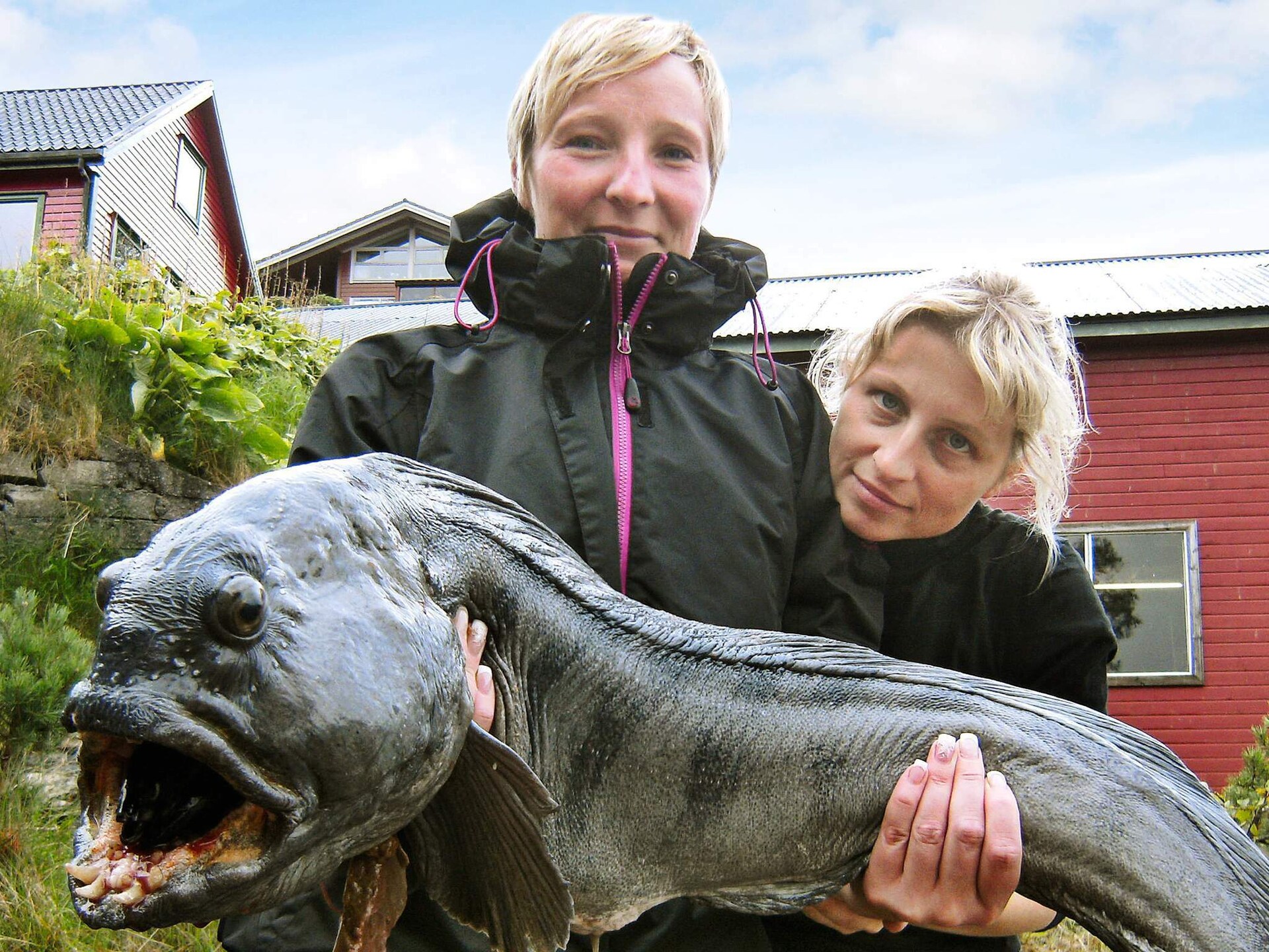 Vrijstaand vakantiehuis voor 10 personen aan fjord in Hosteland, Noorwegen - foto 41