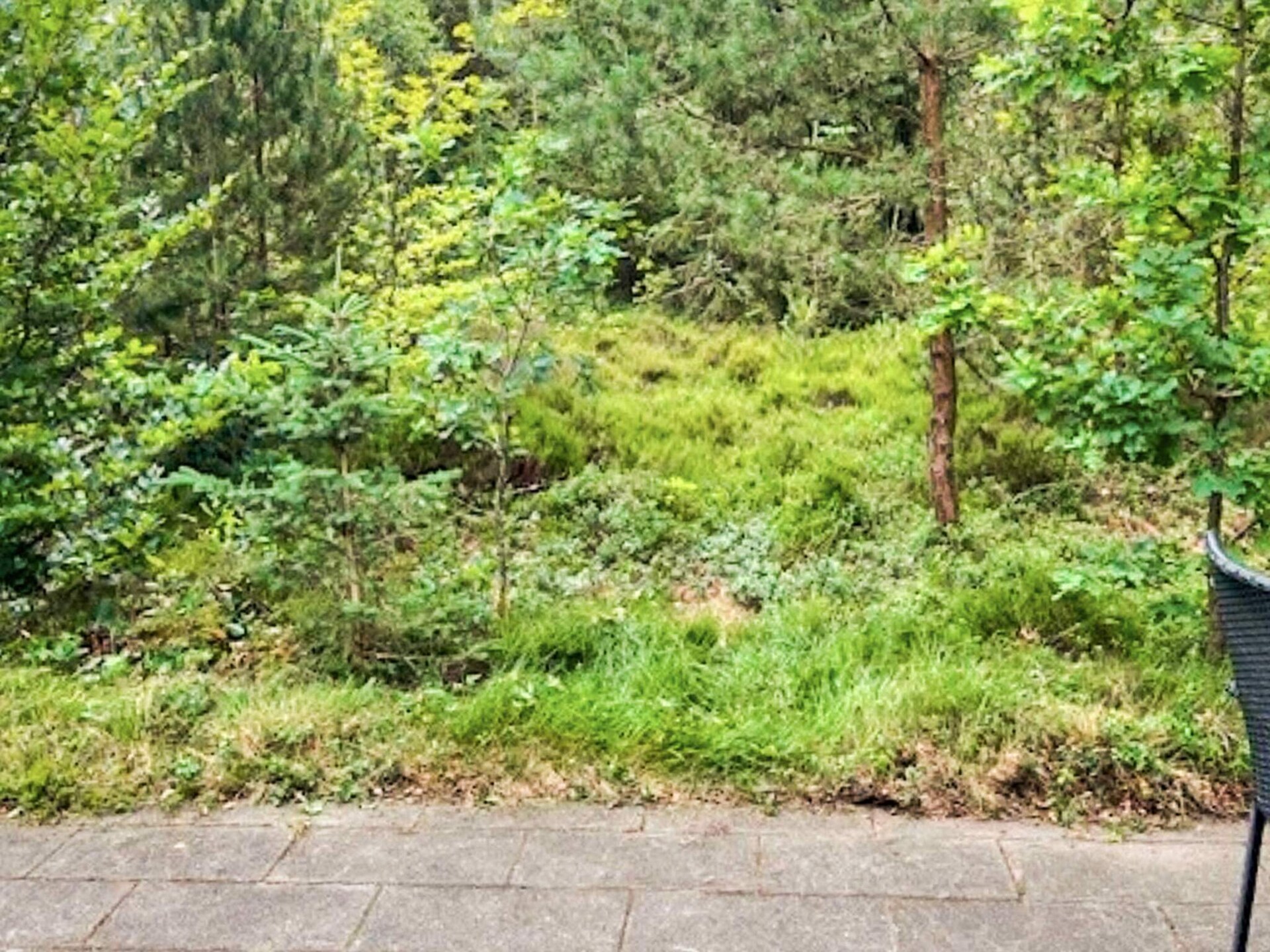 Rustiek vakantiehuis in Herning voor 5 personen - foto 60