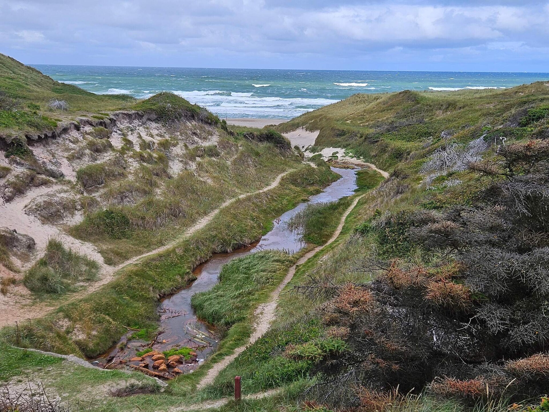 6-persoons vakantiehuis in Snedsted op 1 km van de zee - foto 20