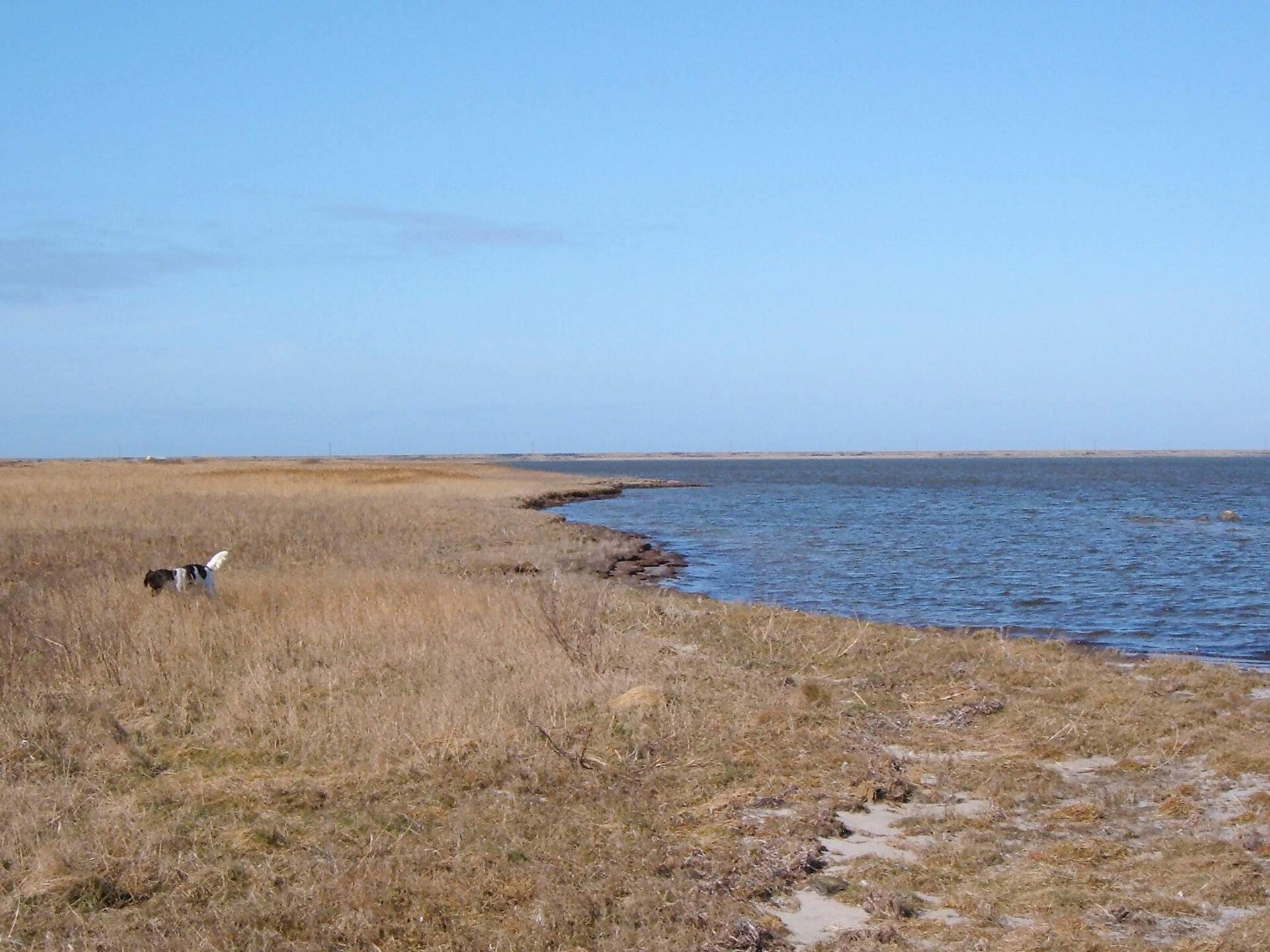 Vrijstaand vakantiehuis op 10.000 m² strandgrond, 20 meter van de zee - foto 12