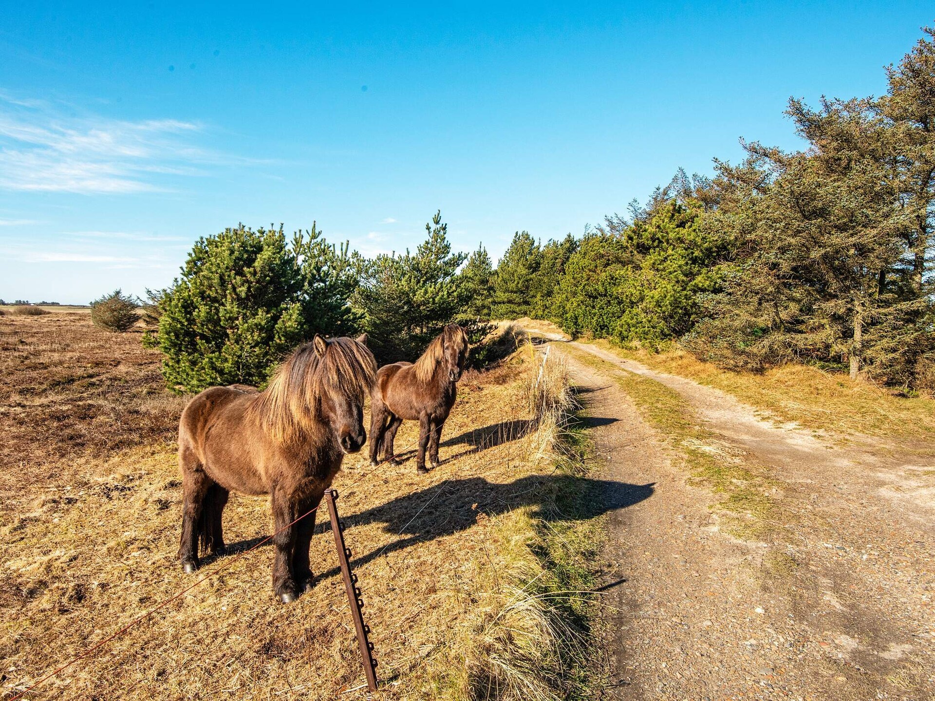 Vrijstaand vakantiehuis op 10.000 m² strandgrond, 20 meter van de zee - foto 36