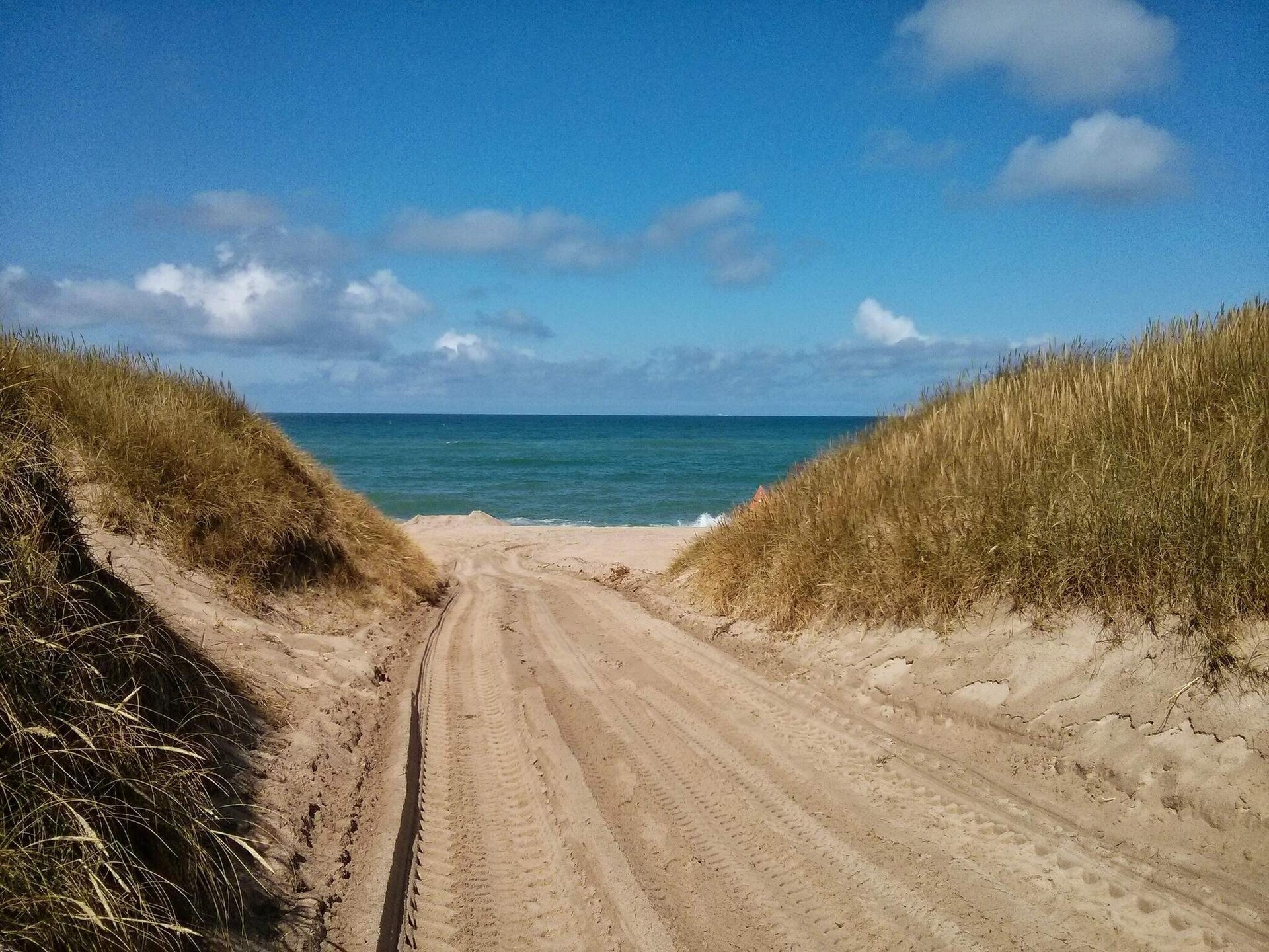Vrijstaand vakantiehuis op 10.000 m² strandgrond, 20 meter van de zee - foto 4
