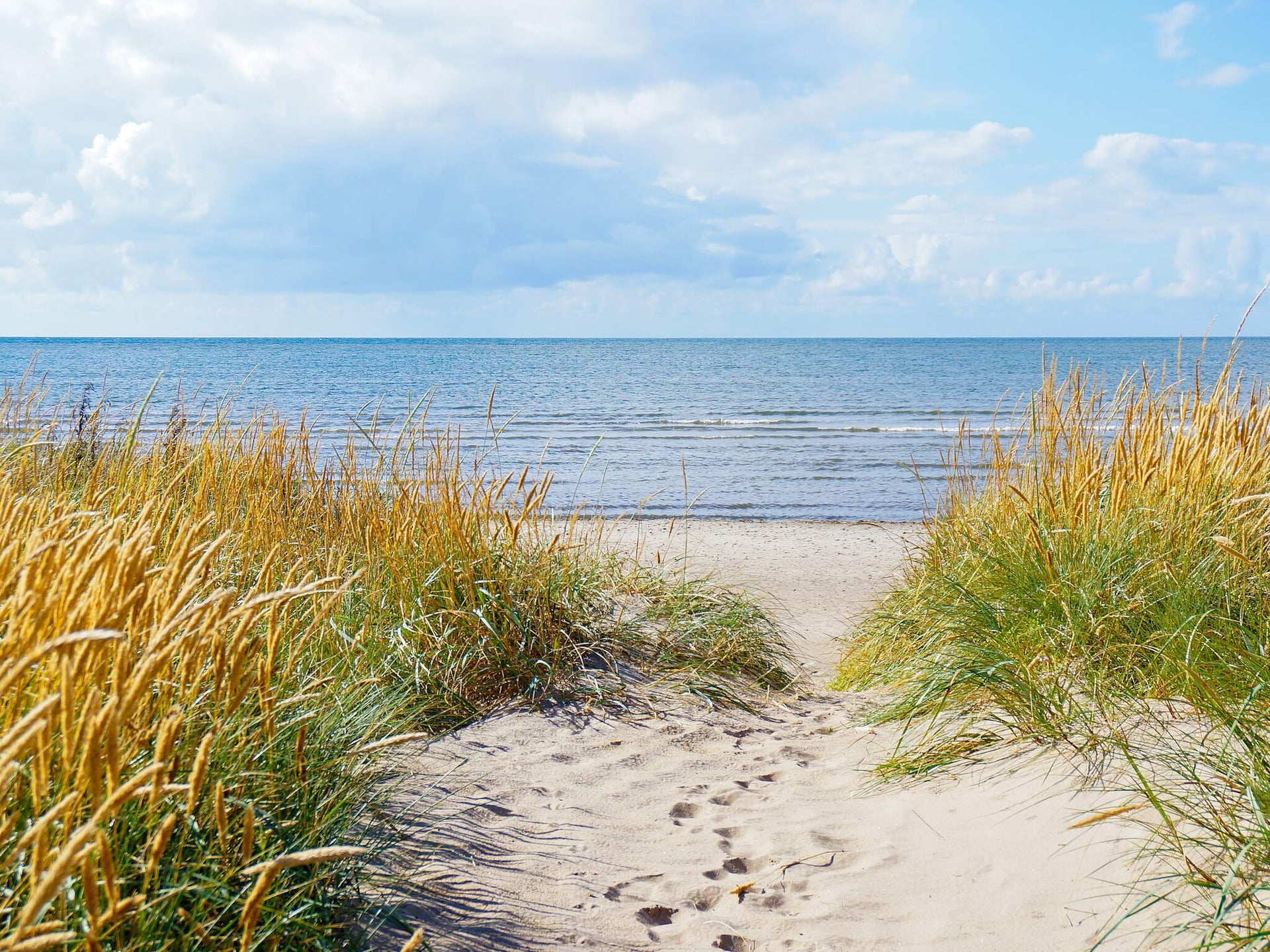 4-persoons vakantiehuis in Falkenberg op 400 m van zee - foto 15