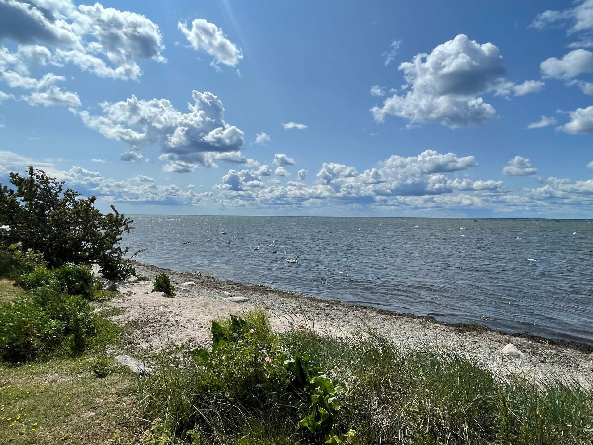 10-persoons vakantiehuis aan zee in Mörbylånga - foto 29
