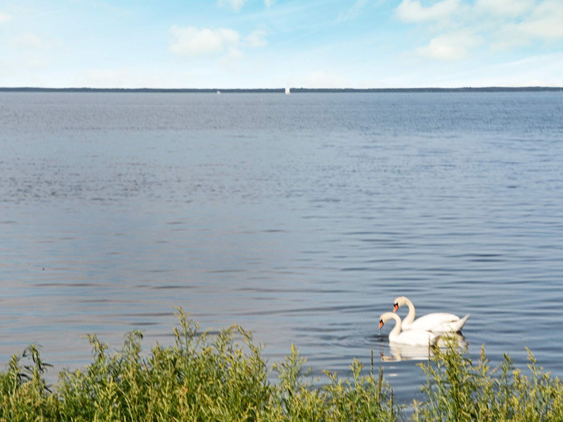 10-persoons vakantiehuis aan zee in Mörbylånga - foto 39