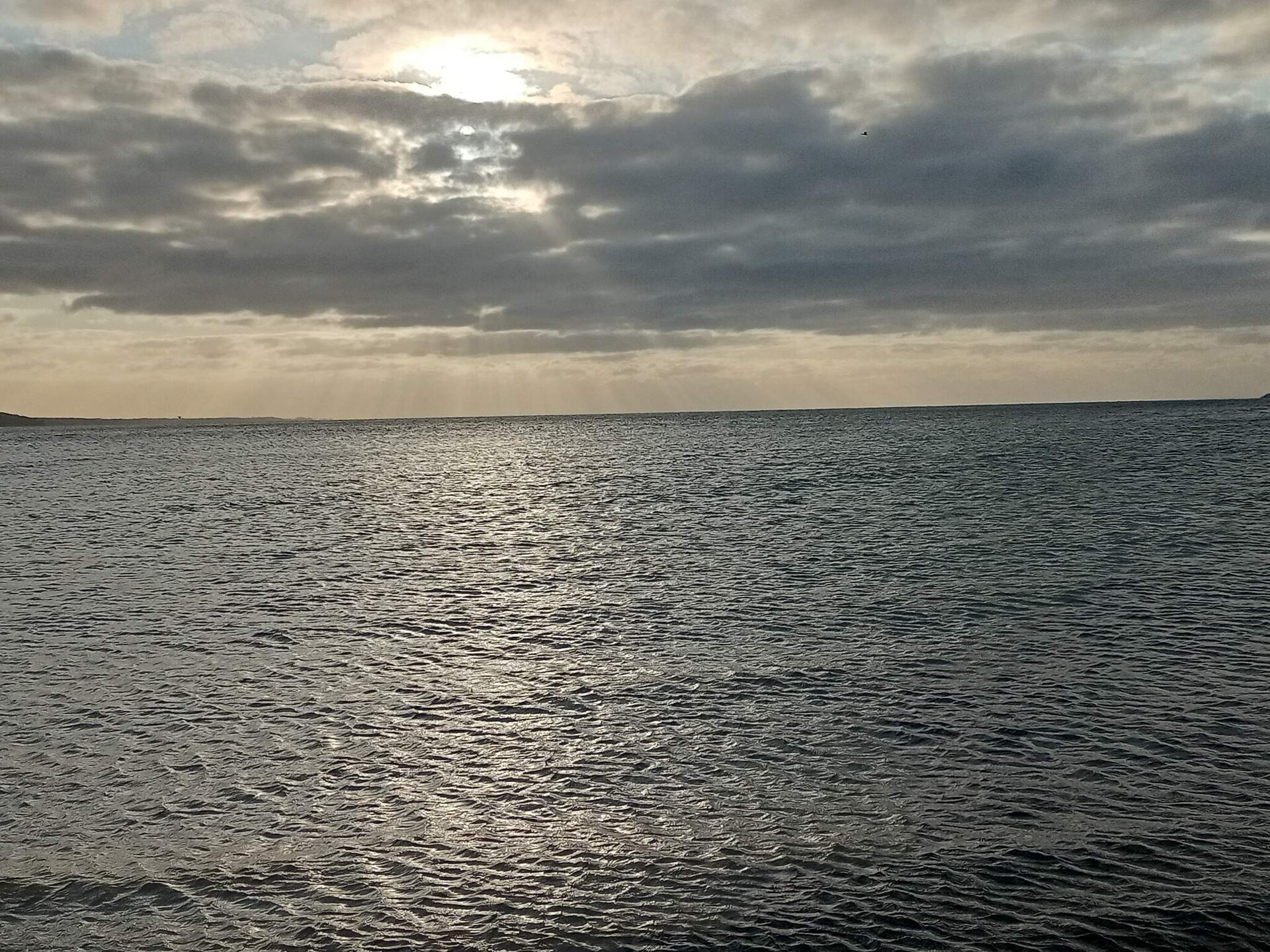 Licht vakantiehuis op 400 meter van de Deense kust bij Børkop - foto 8