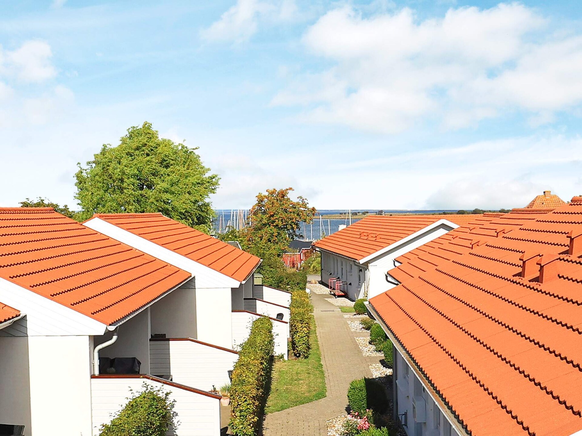 4-persoons vakantiehuis aan zee in Ærøskøbing · 4 pers. - foto 16