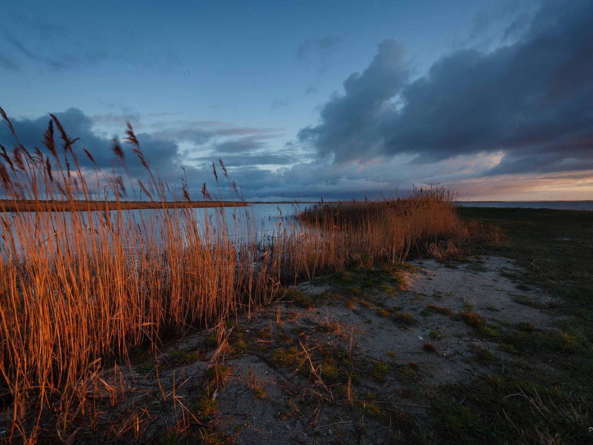 Licht vakantiehuis met sauna en whirlpool op 300 meter van de zee - foto 17