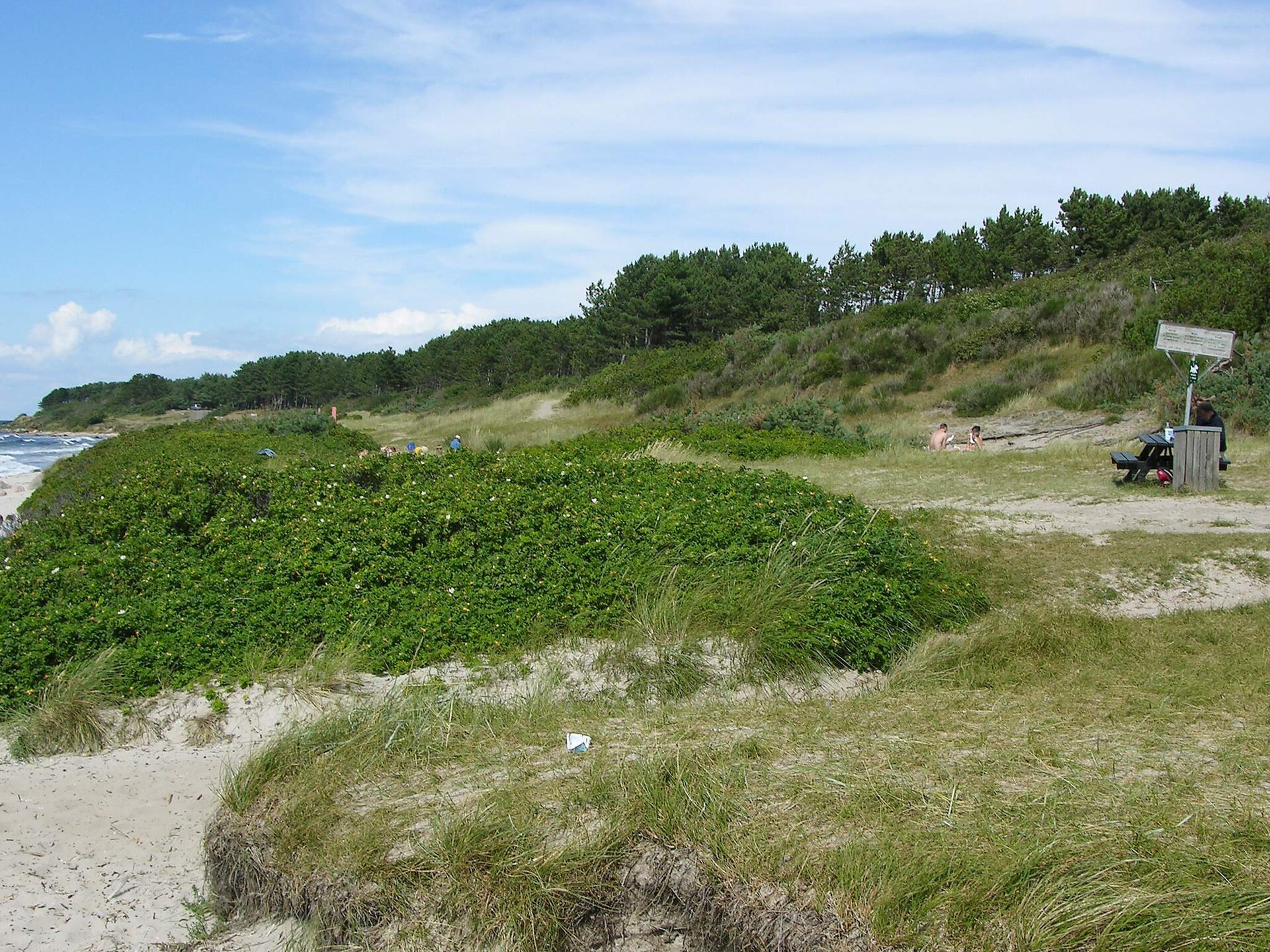 10-persoons vakantiehuis in Hasle op 500 meter van zee - foto 19