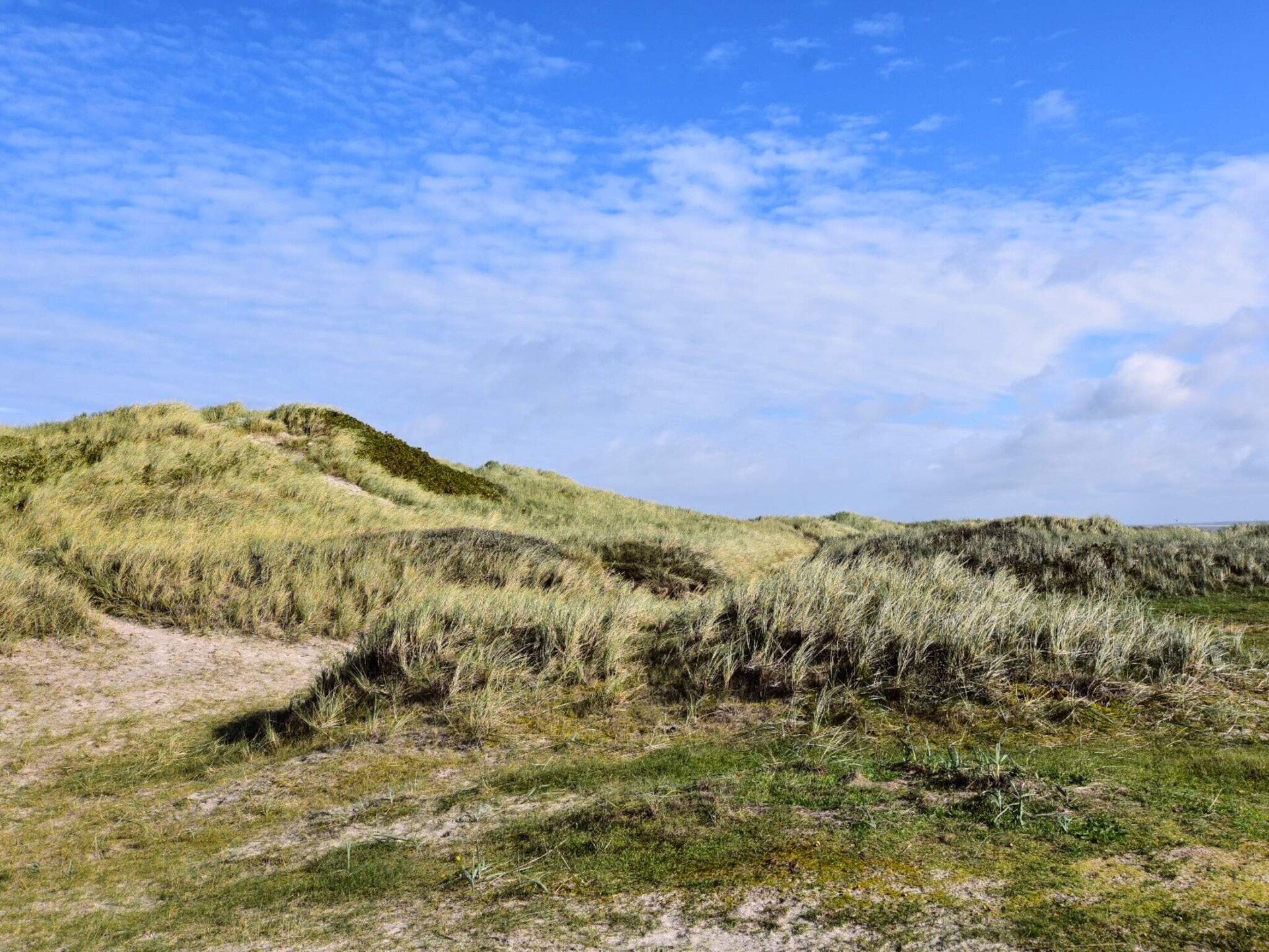 8-persoons vakantiehuis in Hanstholm op 600m van de zee - foto 7