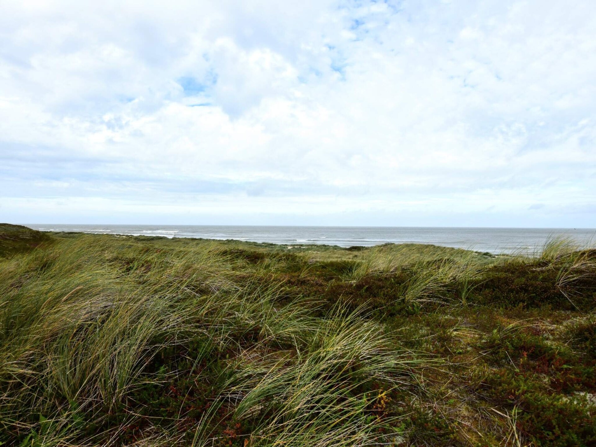 8-persoons vakantiehuis in Hanstholm op 600m van de zee - foto 12