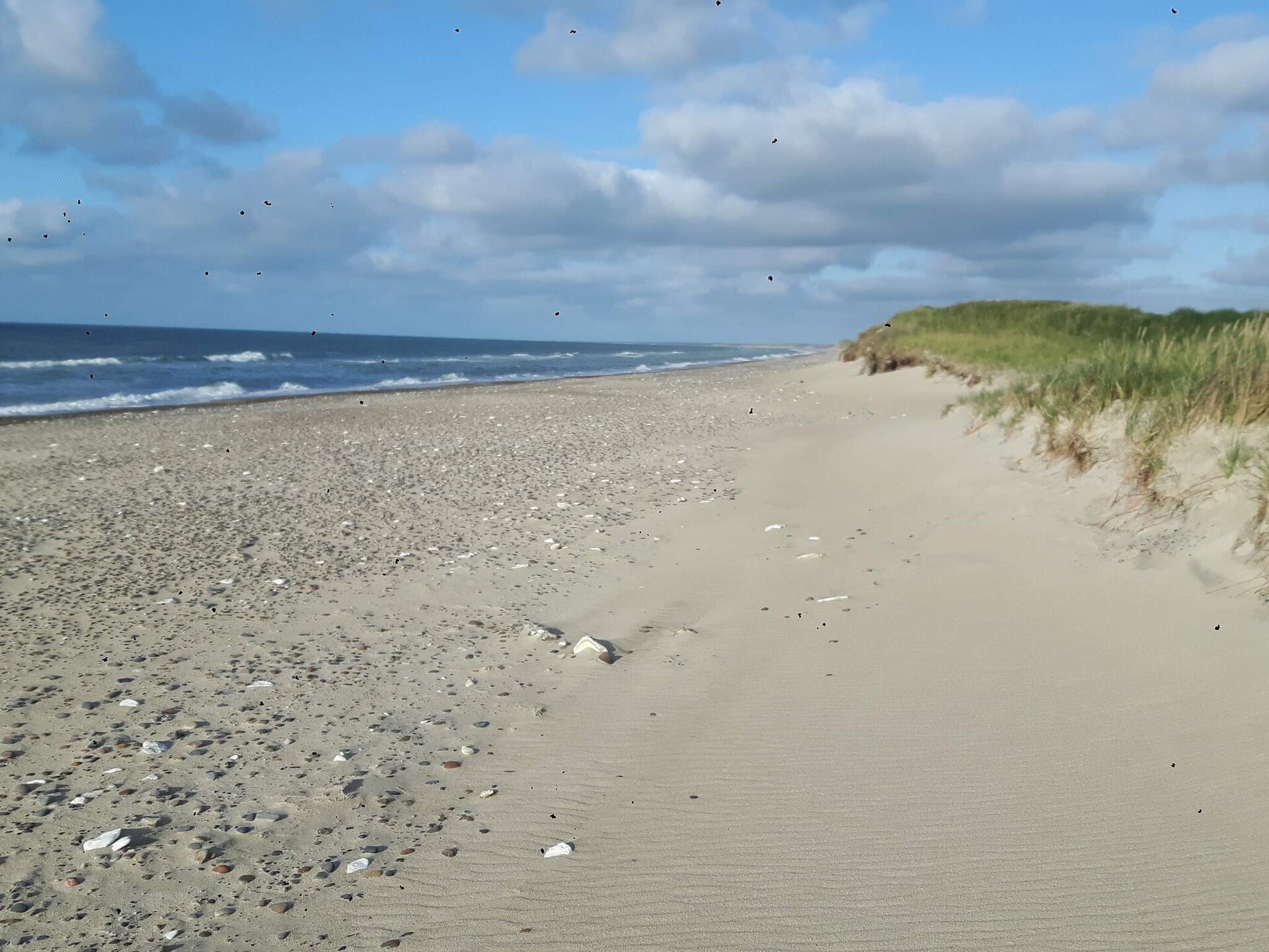 8-persoons vakantiehuis in Hanstholm op 600m van de zee - foto 20