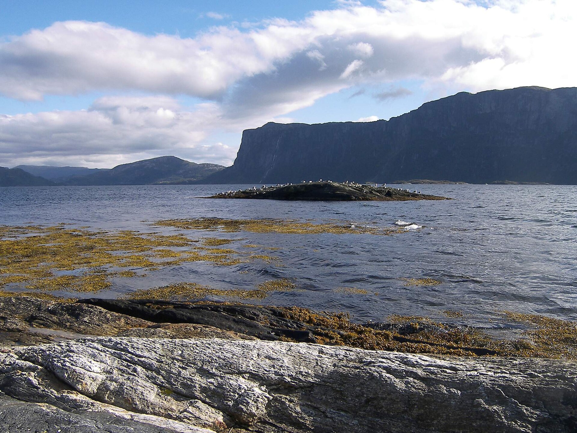 Modern vakantiehuis met panoramisch fjordzicht in Sørbøvåg - foto 32
