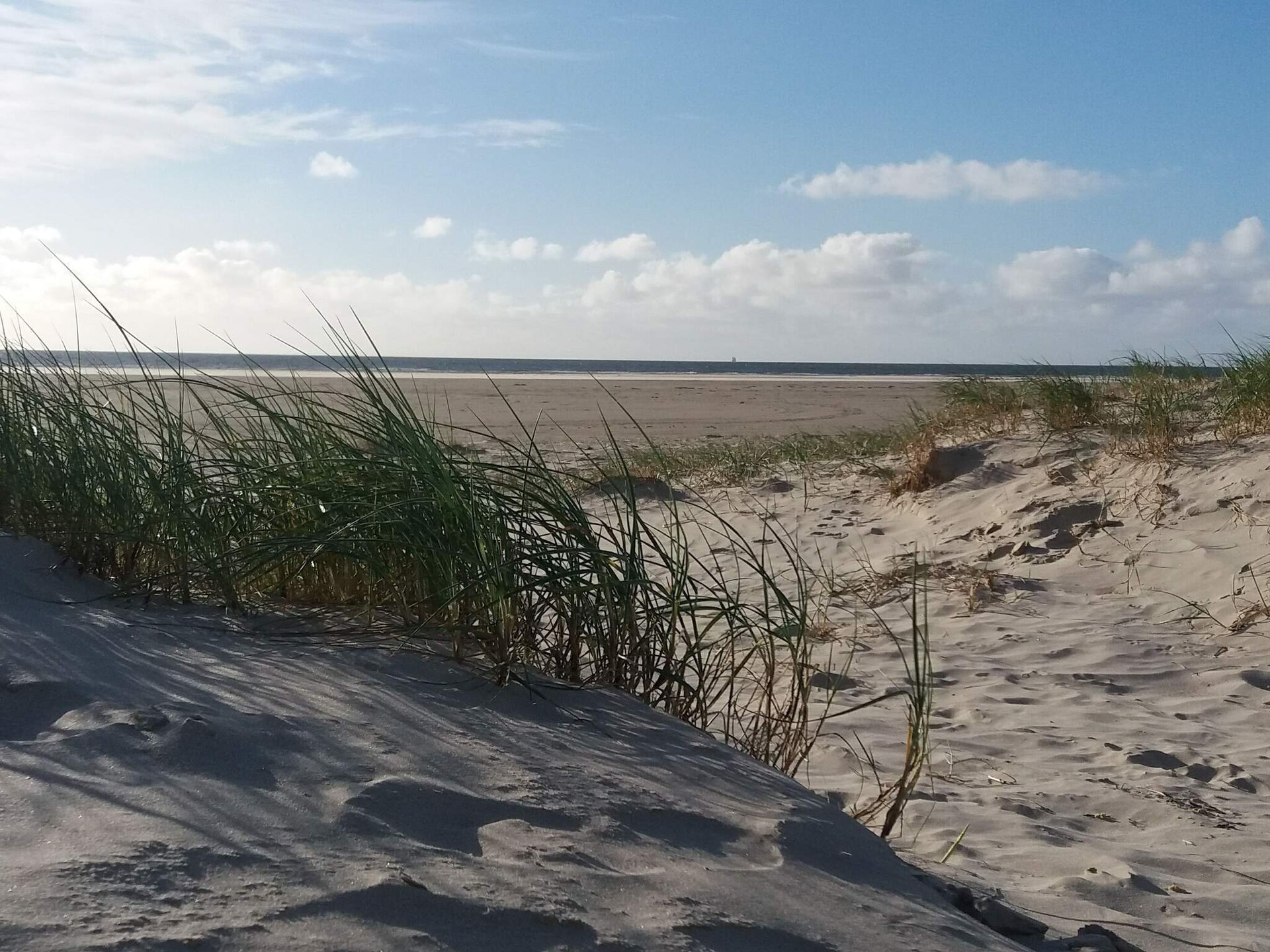 6-persoons appartement aan zee in Fanø · 51 m² - foto 4