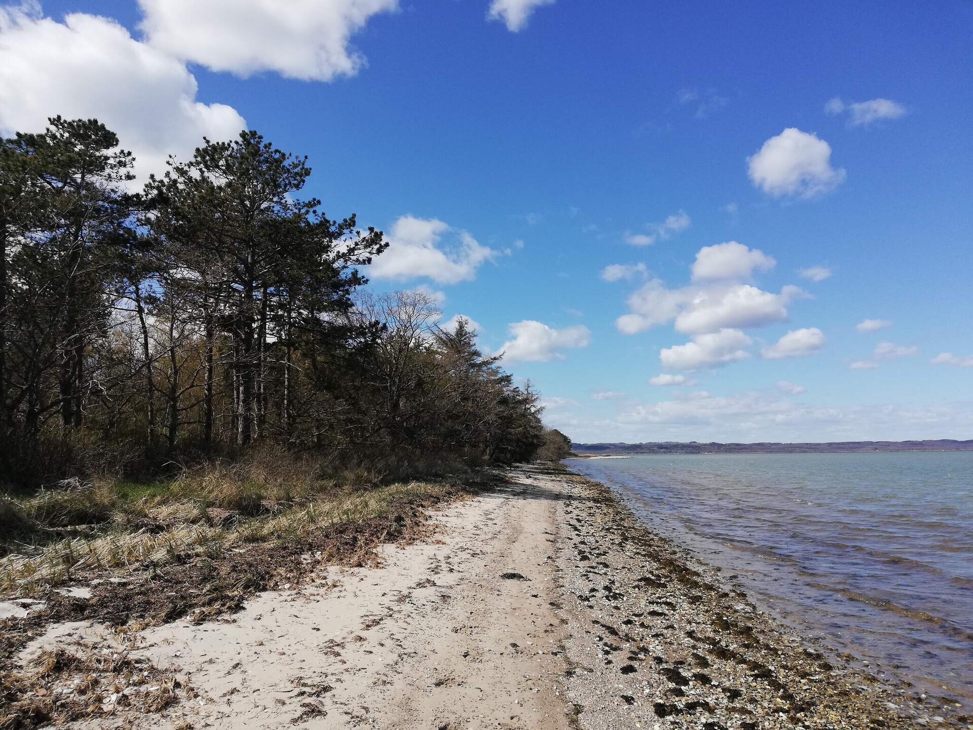 Op 500 m van zee: modern vakantiehuis in Ebeltoft voor 6 personen - foto 24