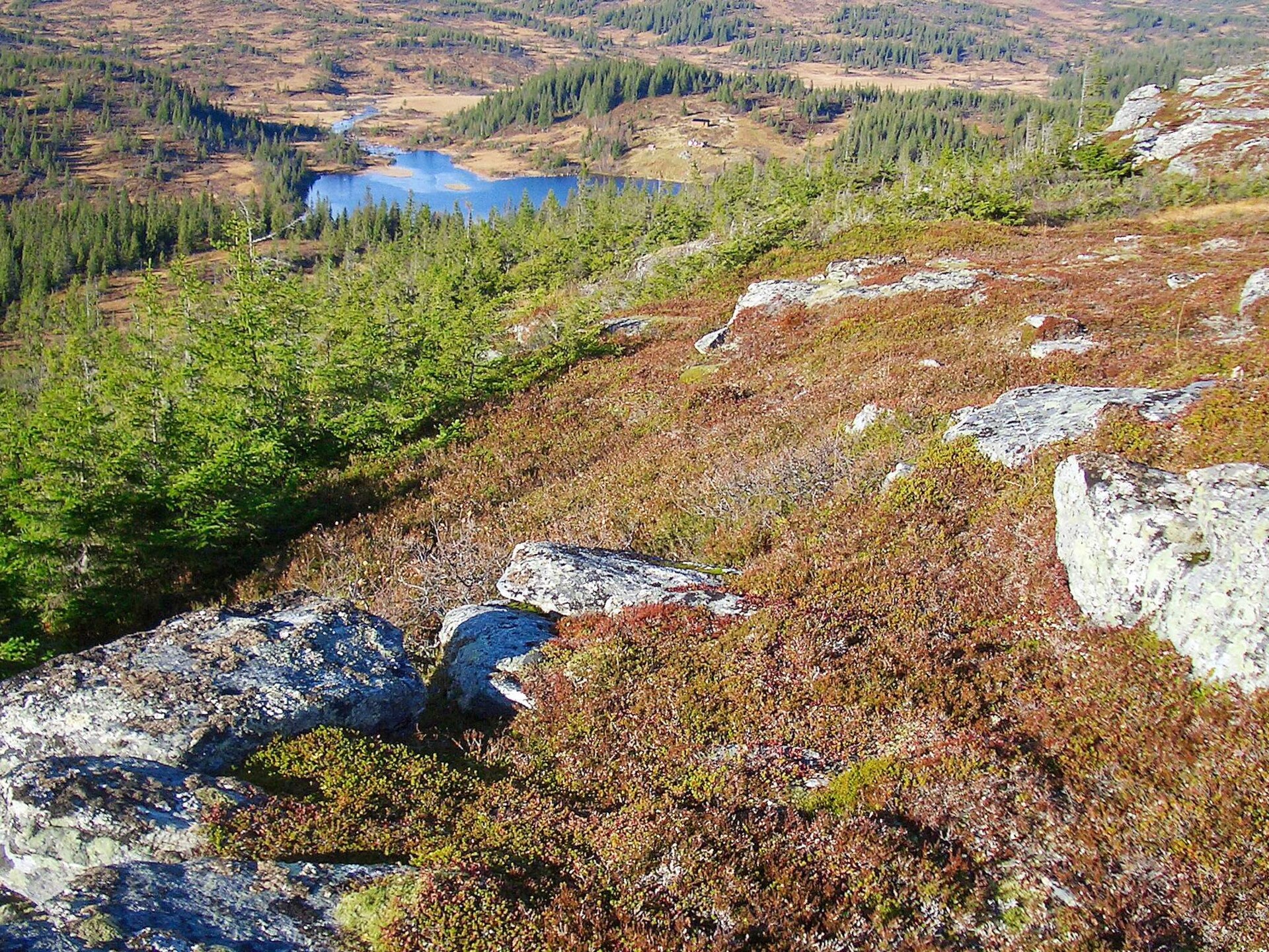 Ruim vakantiehuis met panoramisch fjorduitzicht en gratis boot in Follafoss - foto 25