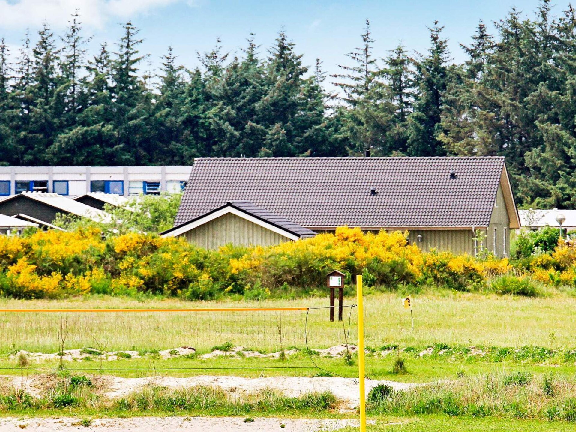 Licht vakantiehuis voor 6 personen in Brovst bij Tranum Strand - foto 31