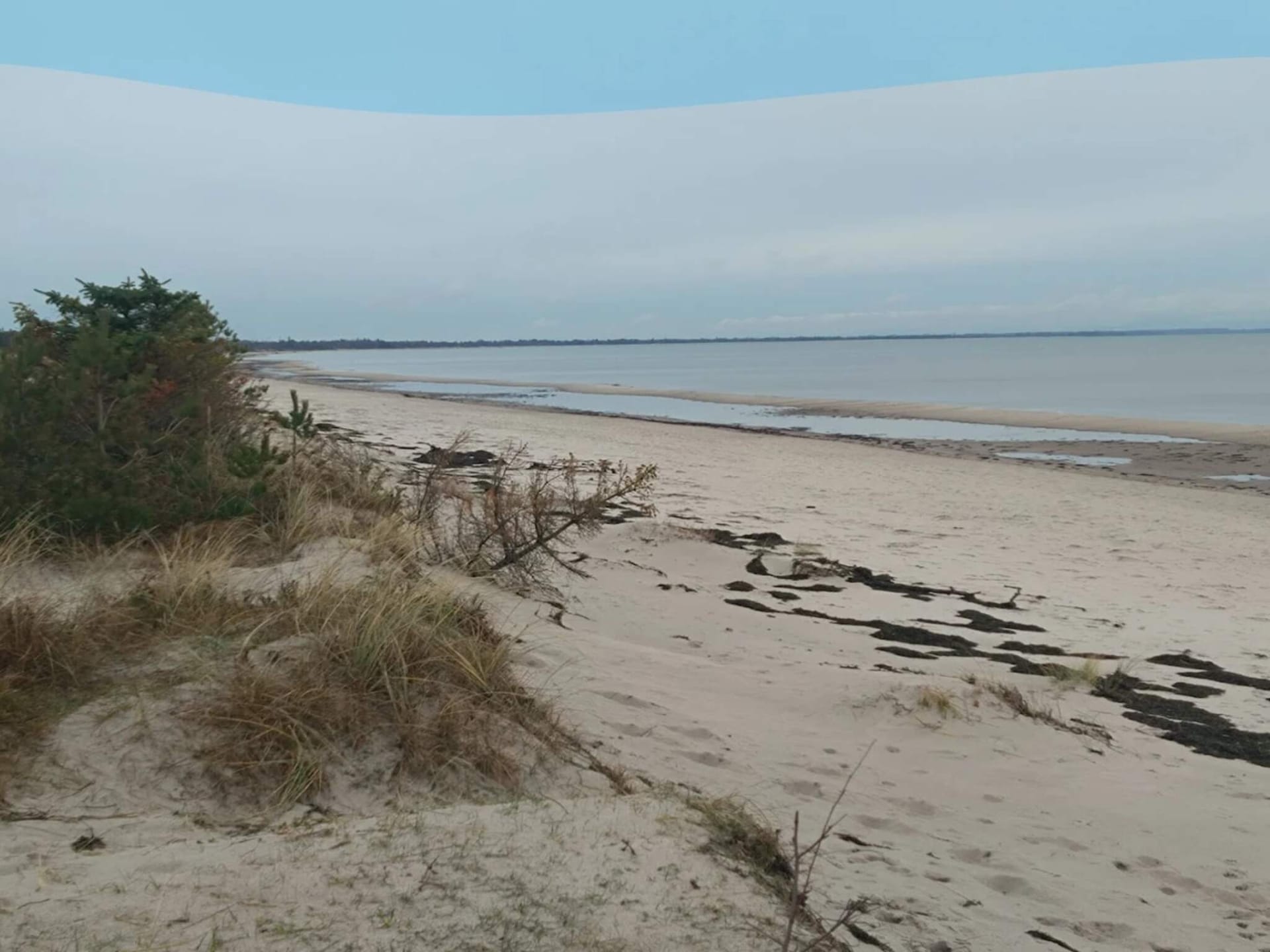 Licht vakantiehuis op beschut natuurperceel bij Marielyst - foto 15
