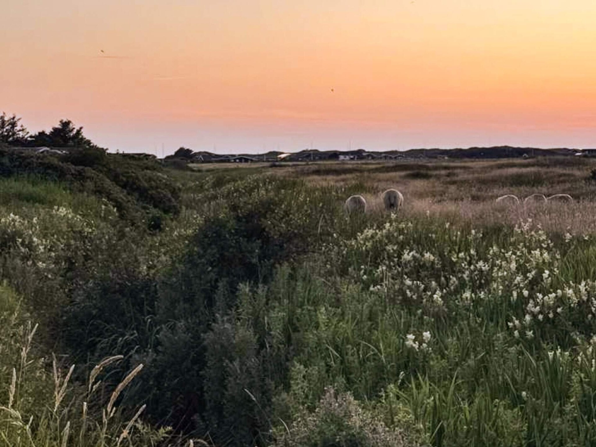Ruim vakantiehuis met whirlpool & sauna op 900m van de Noordzeekust bij Løkken - foto 54