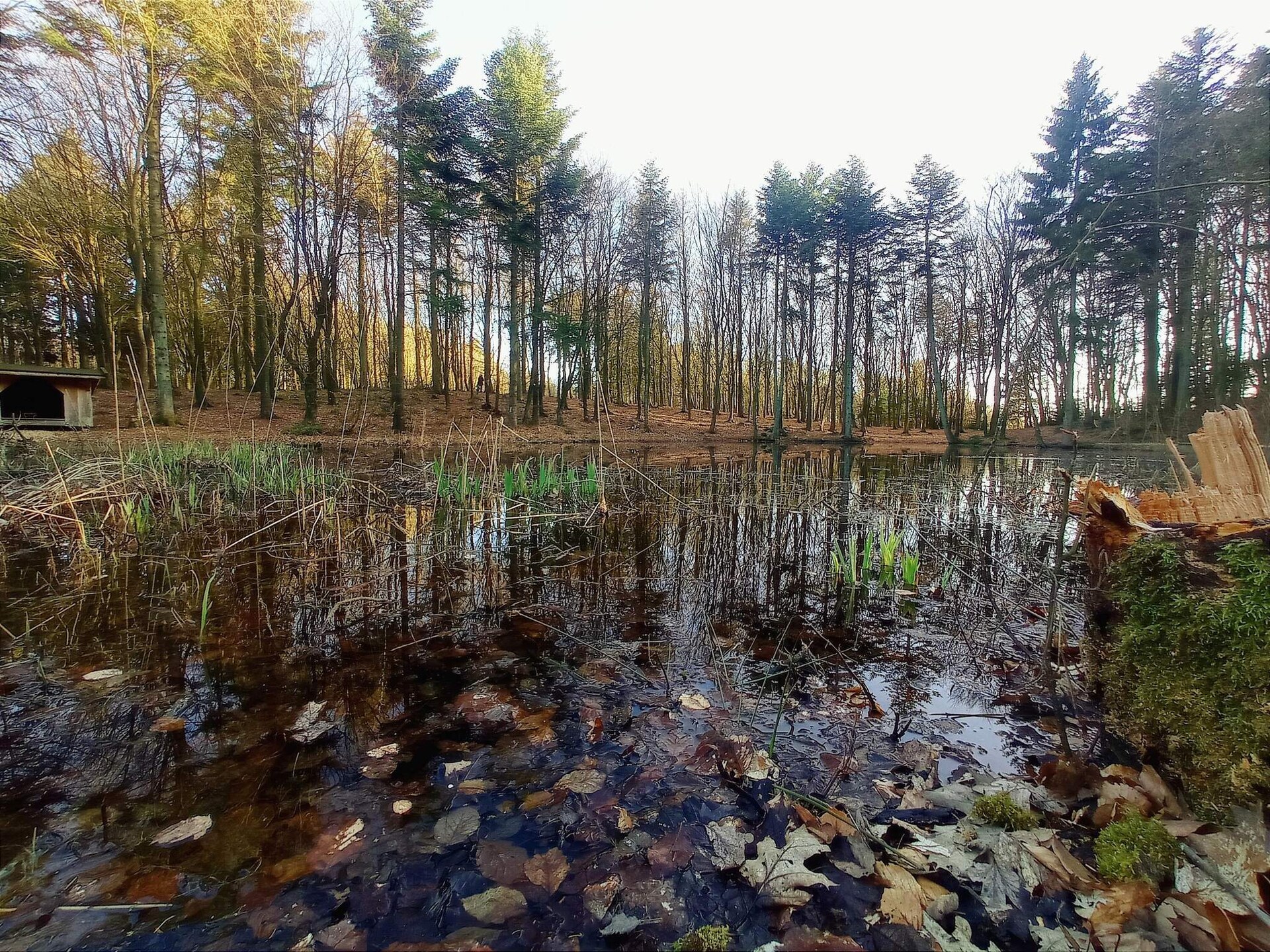 Vrijstaand vakantiehuis bij Vestervig met sauna, whirlpool en houtkachel - foto 16