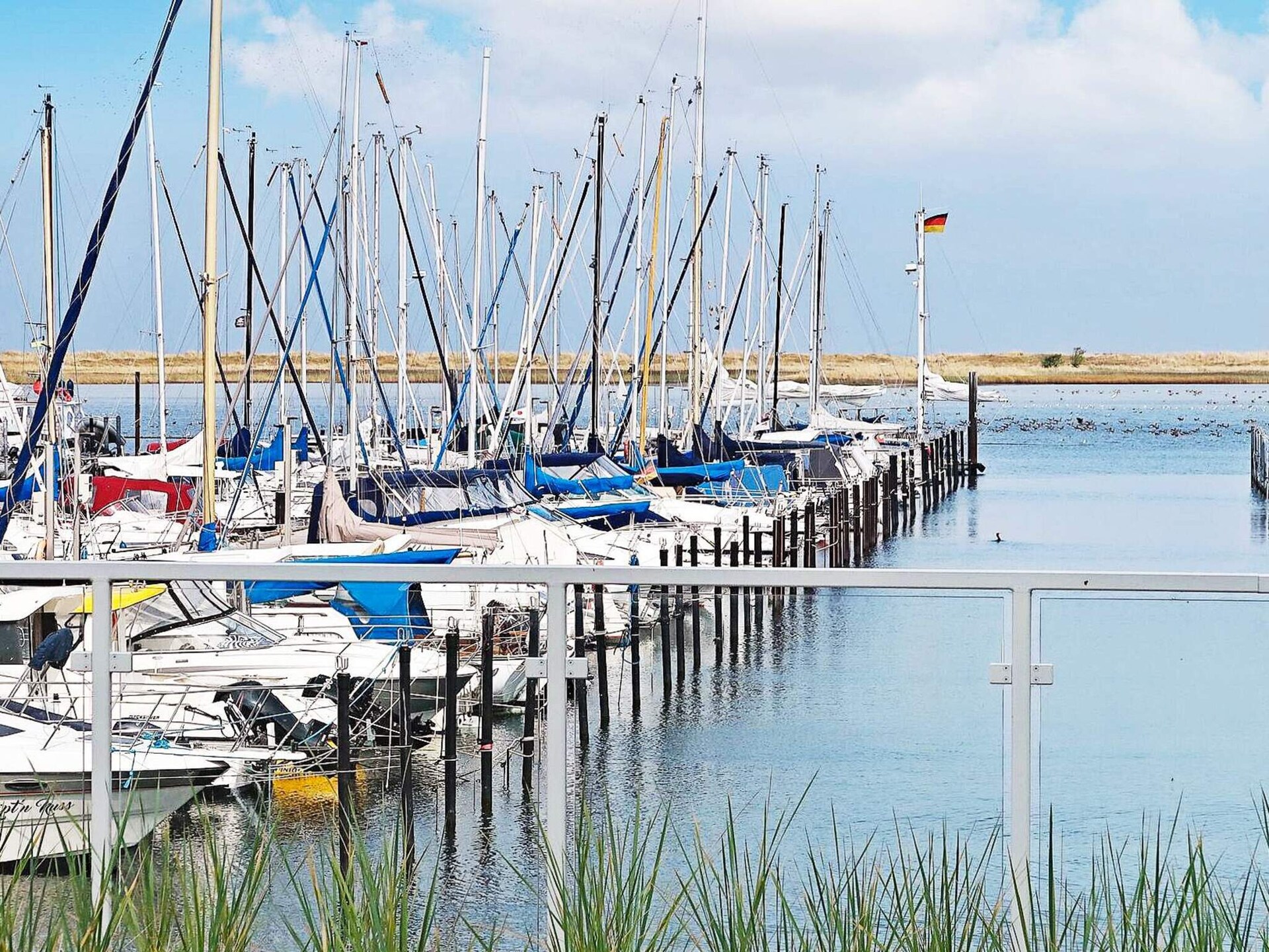 6-persoons appartement aan zee in Wendtorf met dakterras - foto 7
